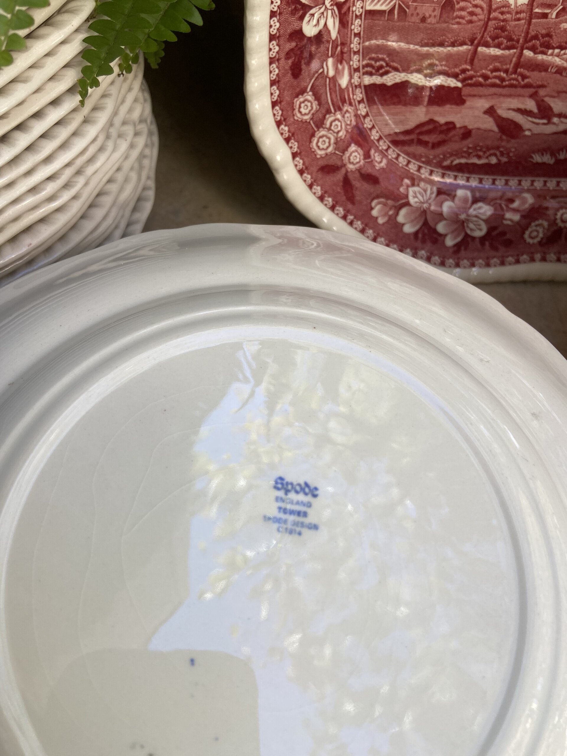 Vajilla en loza inglesa "Spode". - 7