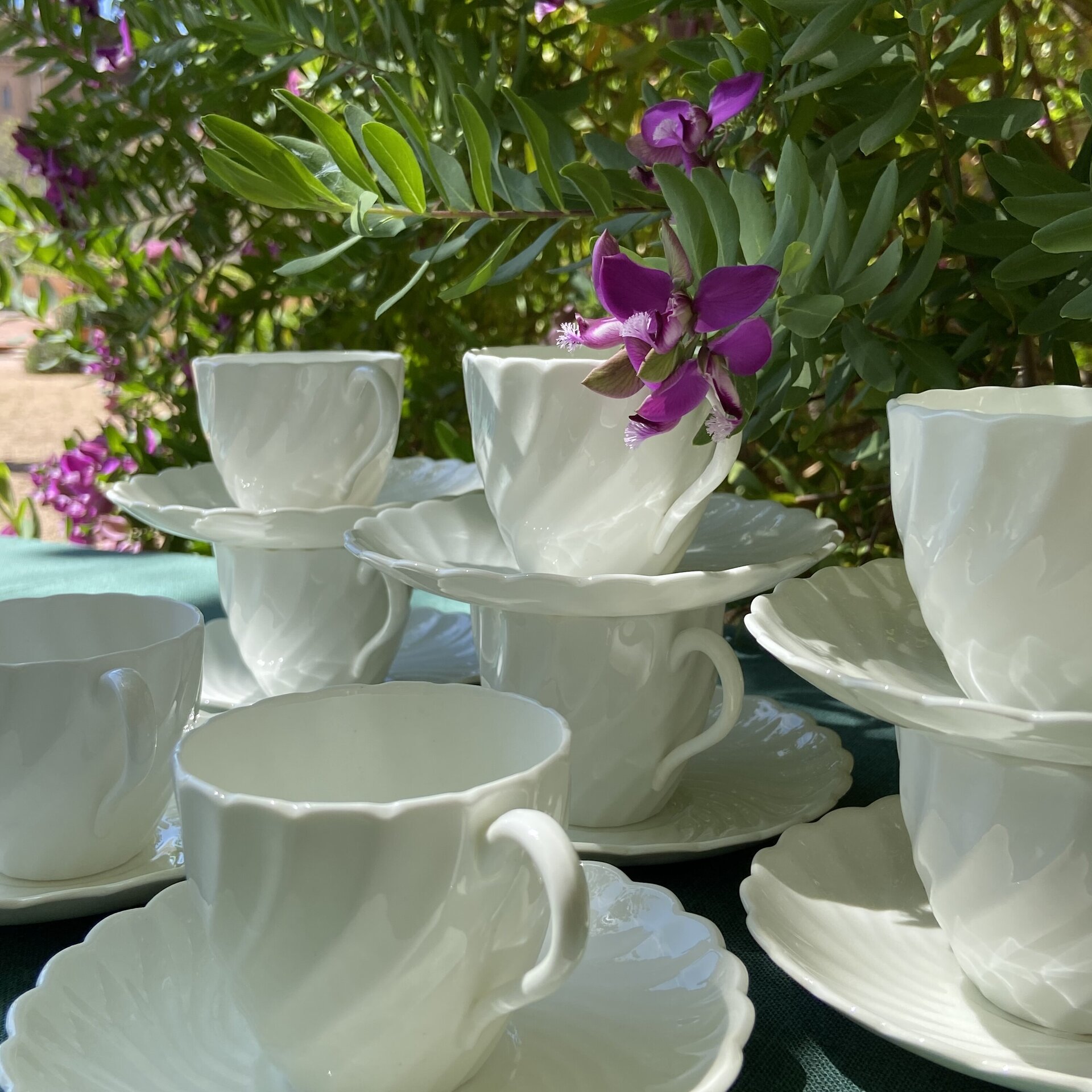 Juego 8 tazas de café fina porcelana inglesa "Aynsley". - 1