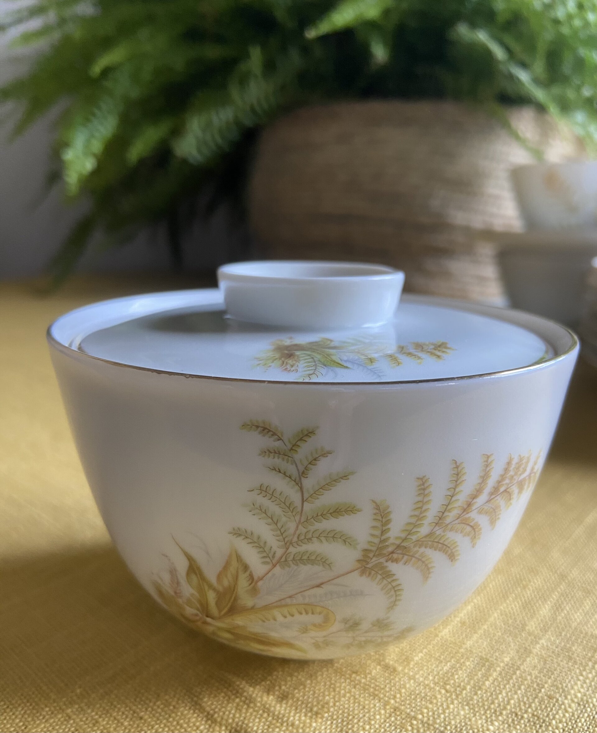 5 tazas de té/desayuno y 6 platos de merienda en porcelana suiza "Langenthal" - 6