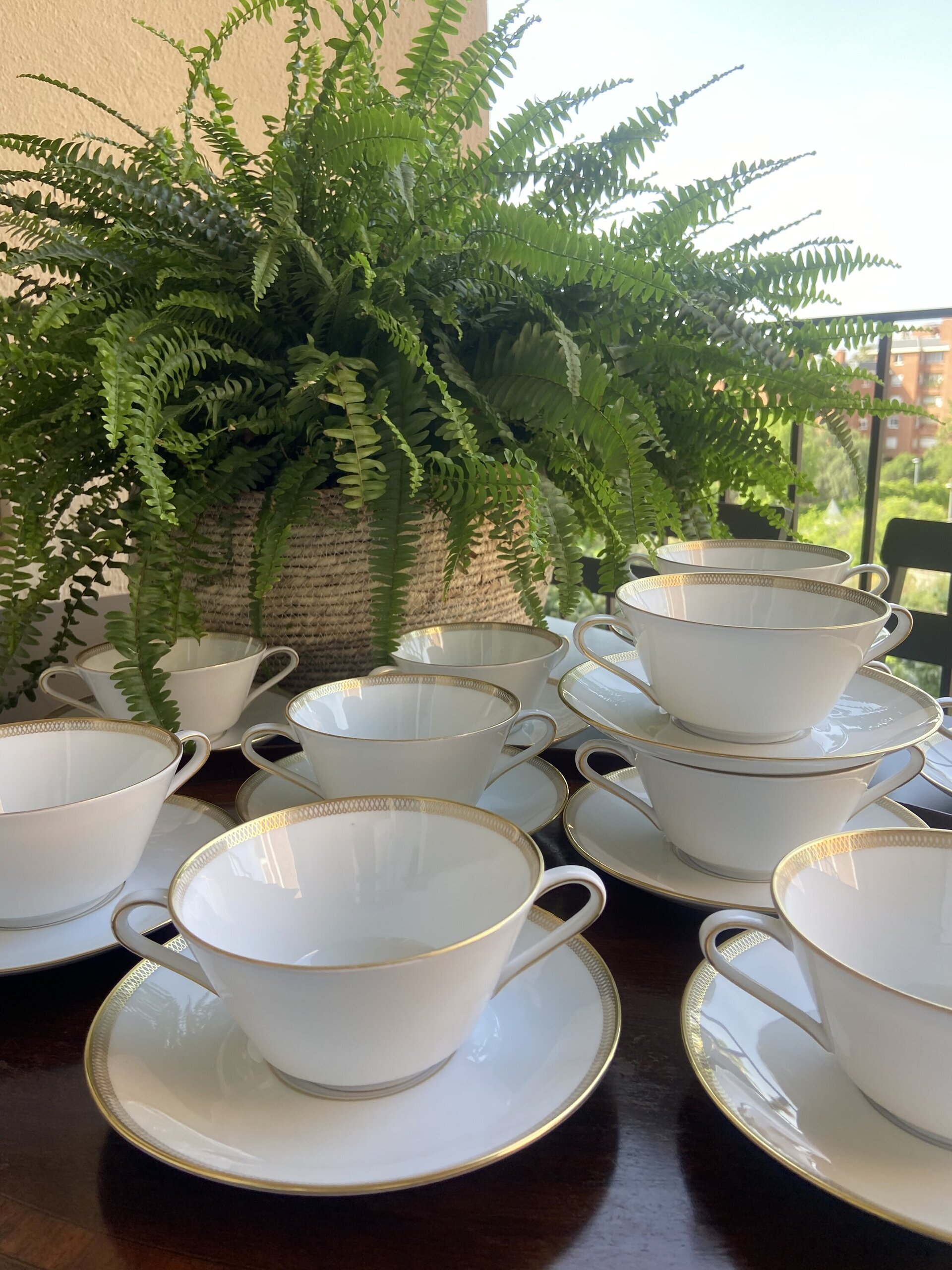 12 tazas de consomé en porcelana alemana "Eschenbach". - 1