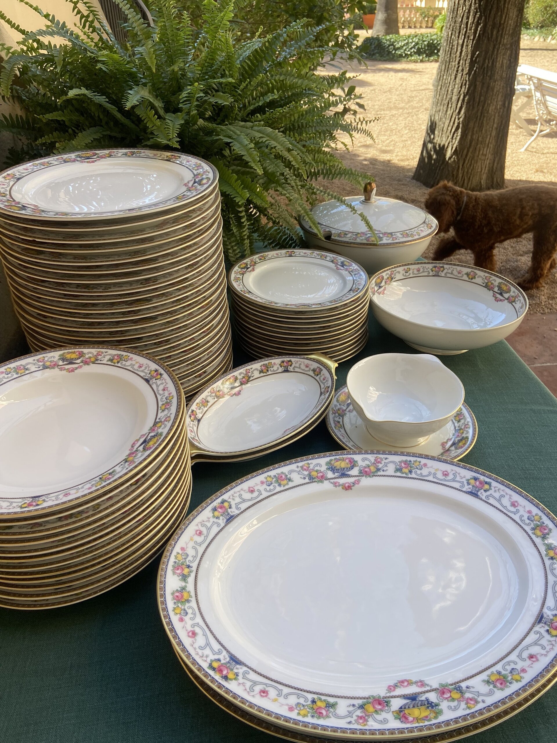 Vajilla en porcelana alemana "Rossenthal". - 1