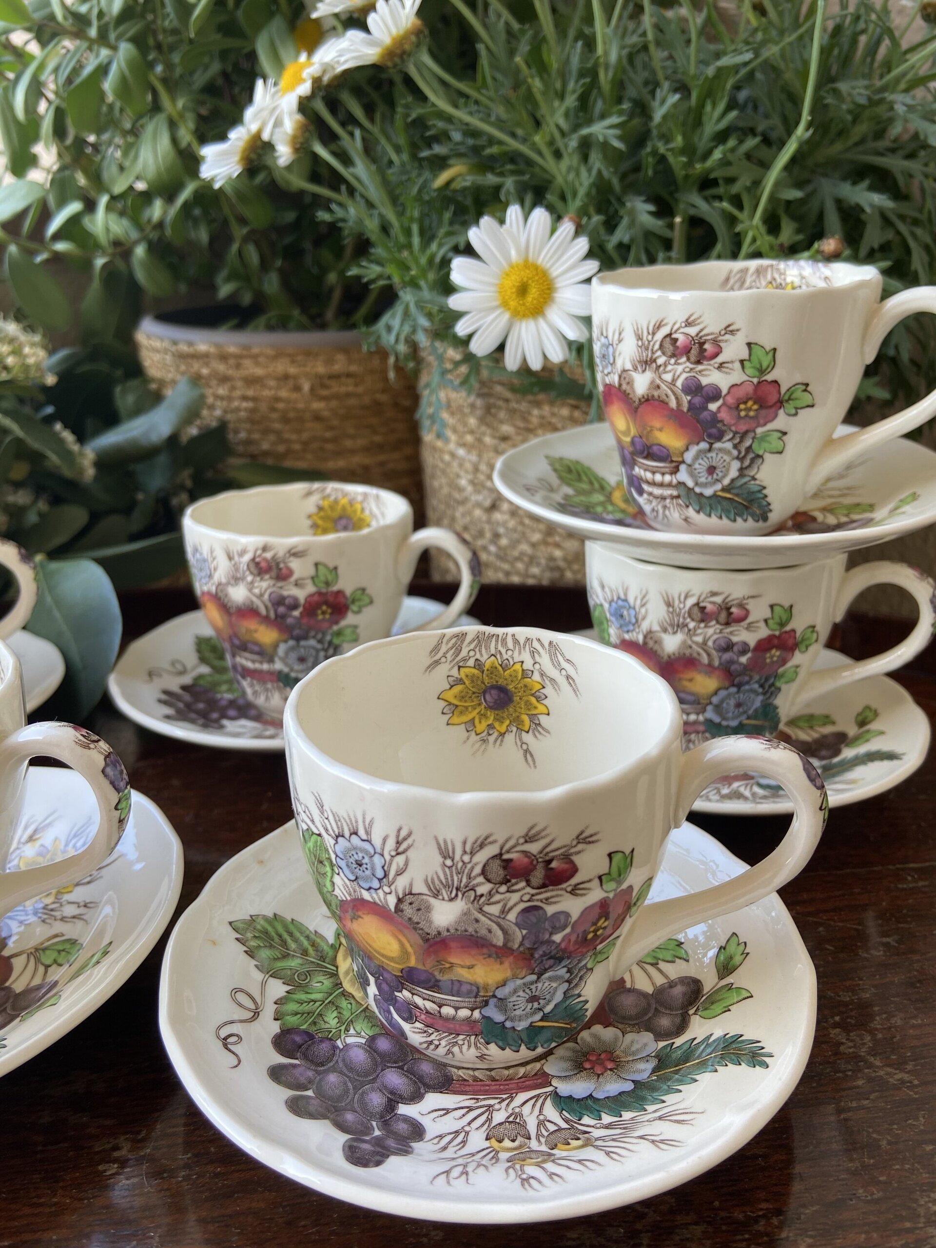 6 tazas cafe en loza inglesa "Spode" - 2