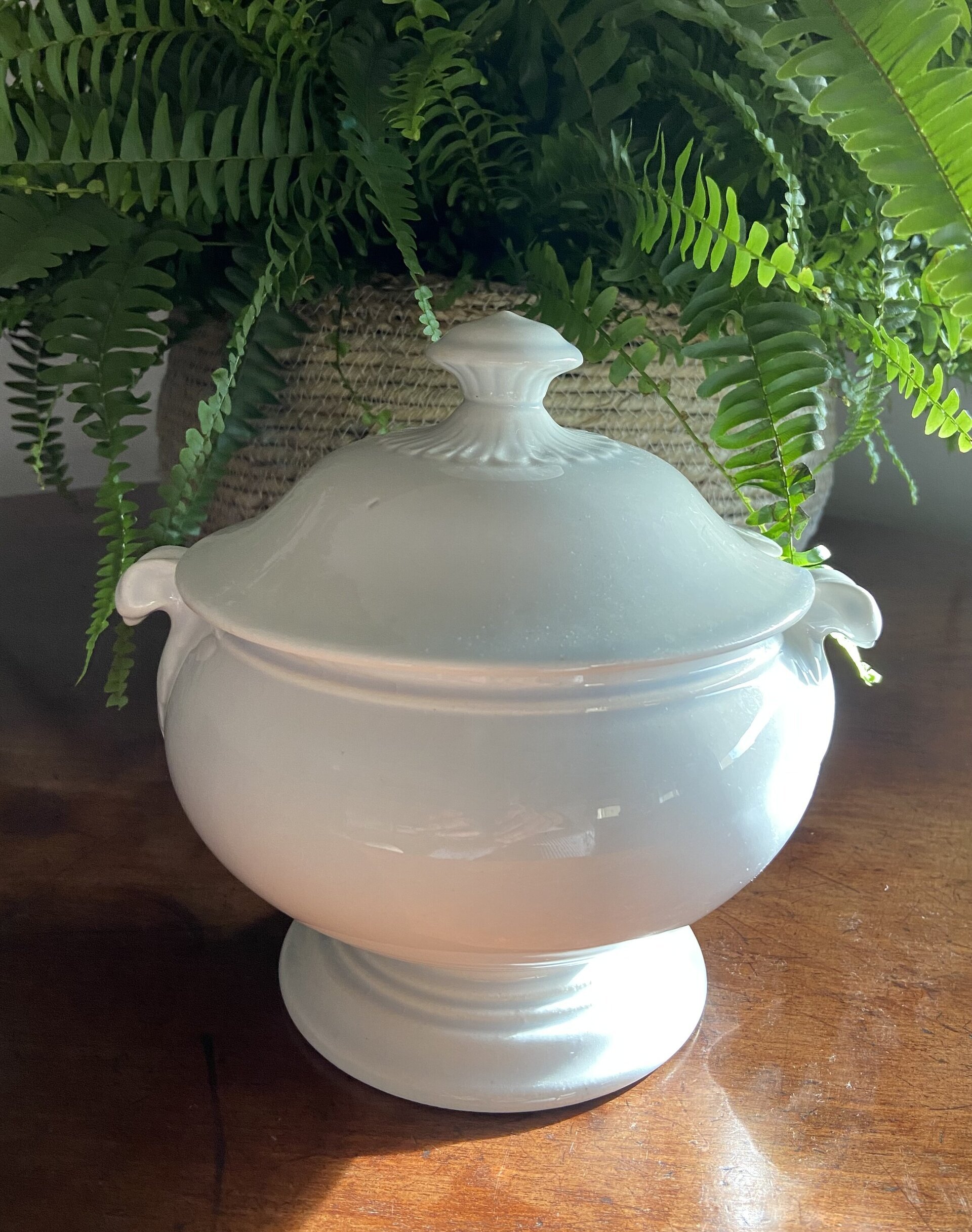 Sopera en porcelana blanca - 1