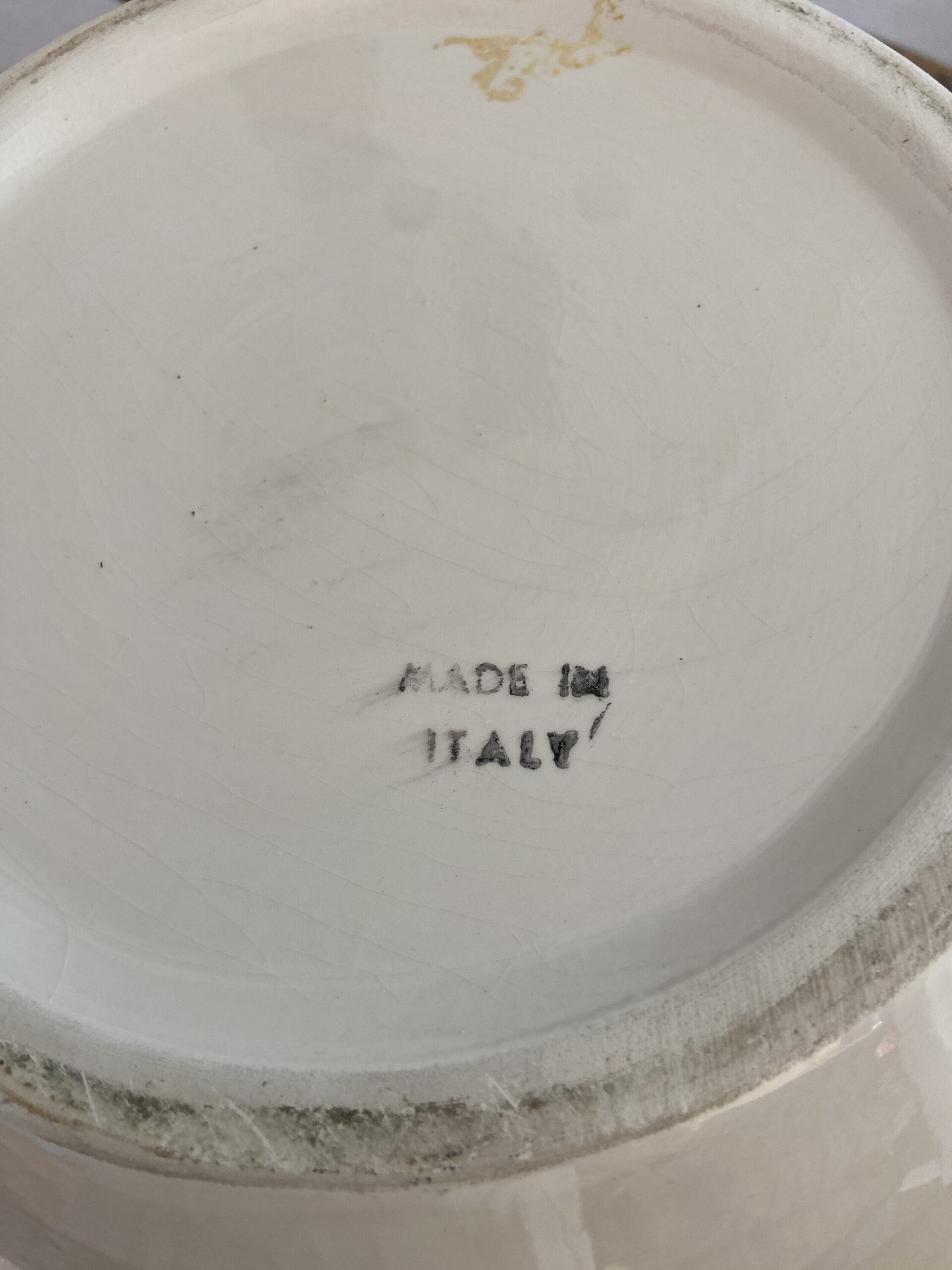 Macetero en loza italiana con glicina en relieve. - 6