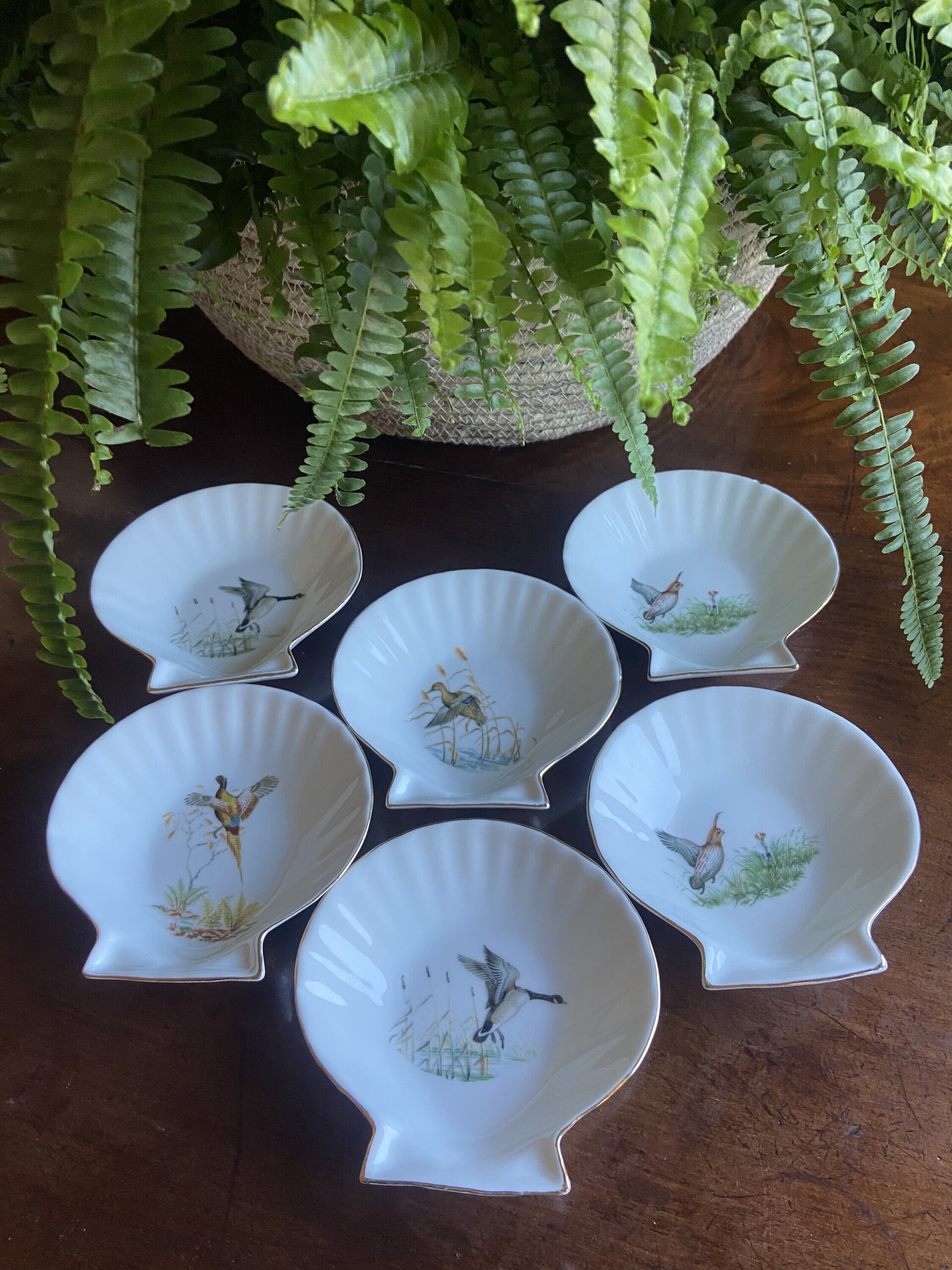 6 conchas en porcelana refractaria "Isard" - 6