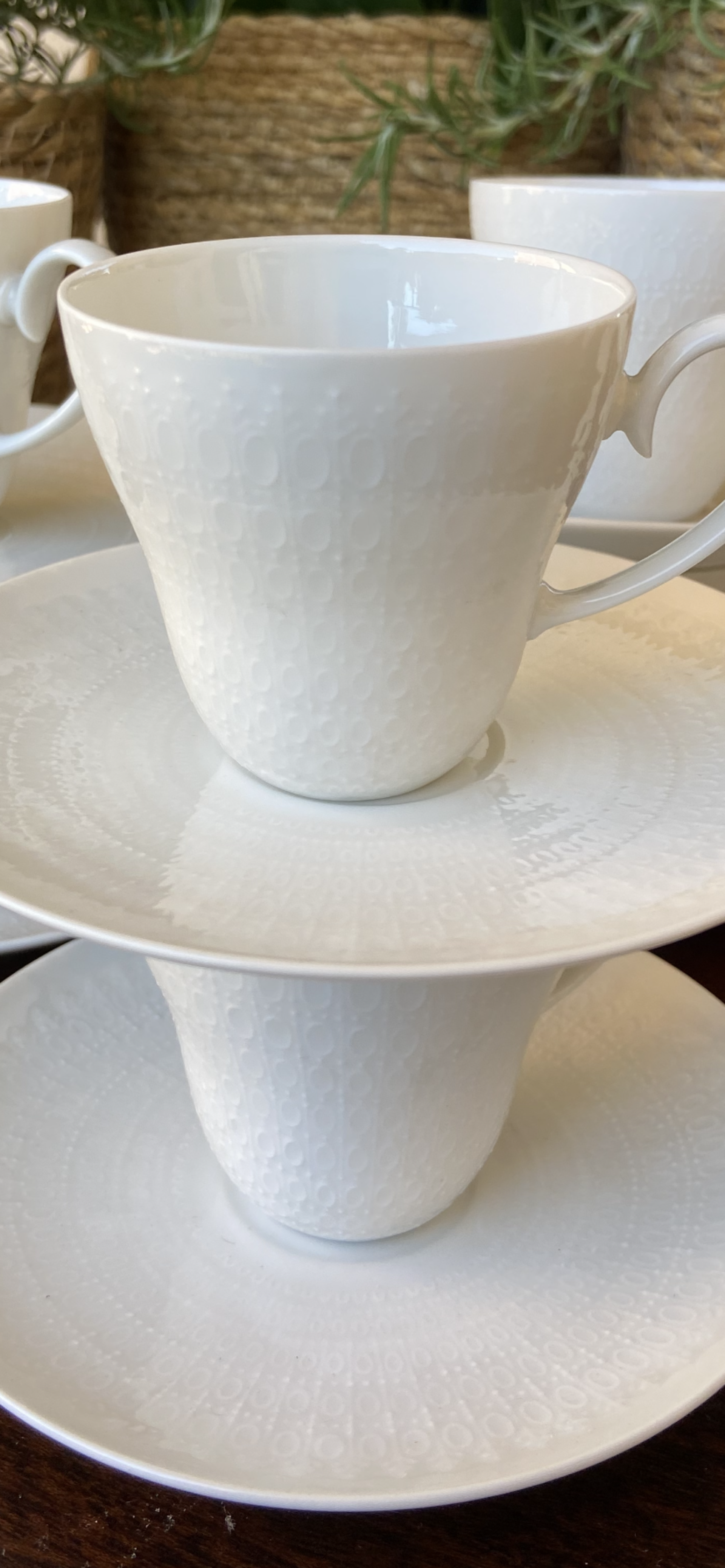 6 tazas en fina porcelana alemana "Rosenthal". - 3