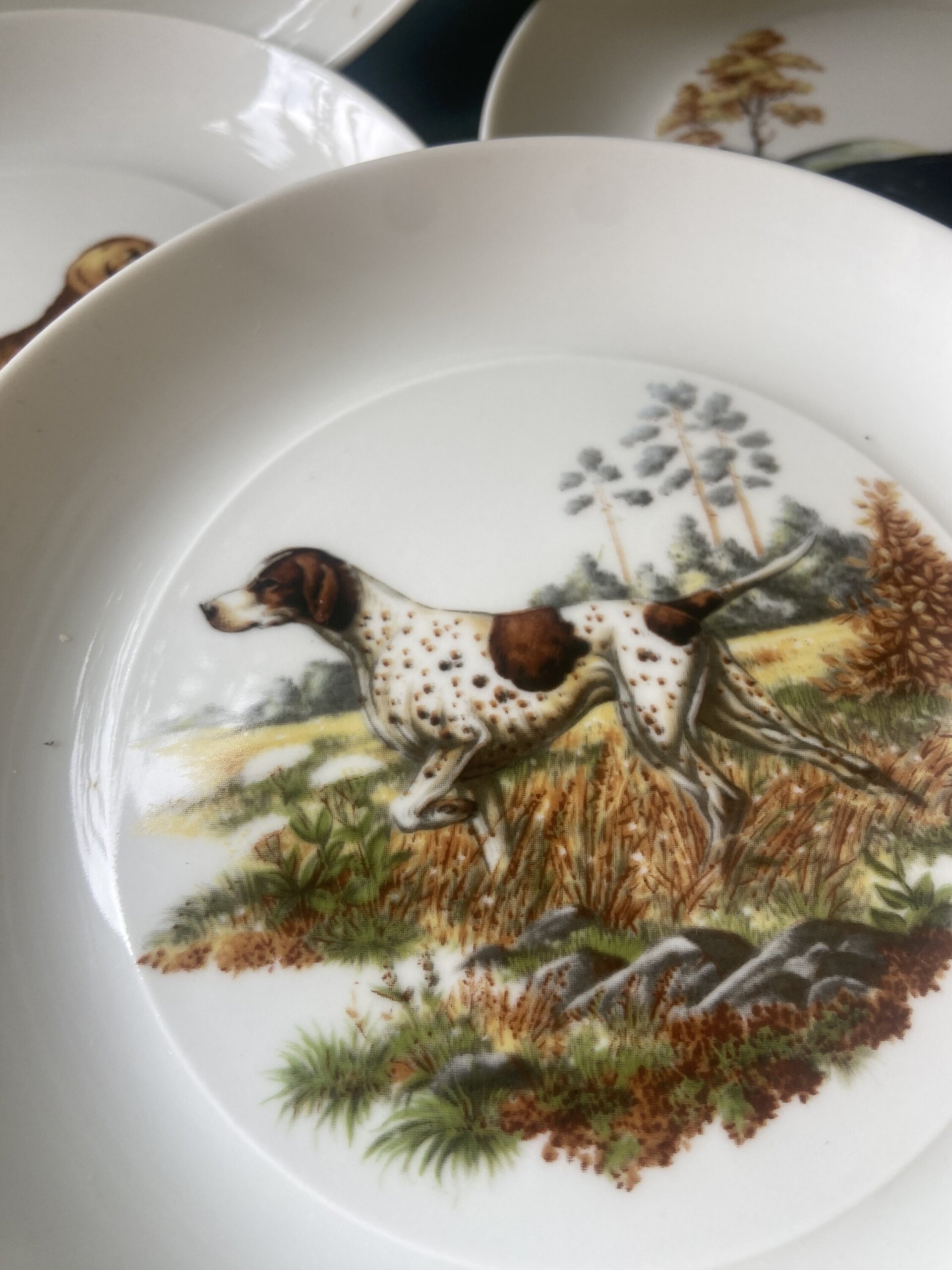 Fuente y 6 platos merienda en porcelana "Bidasoa". - 4