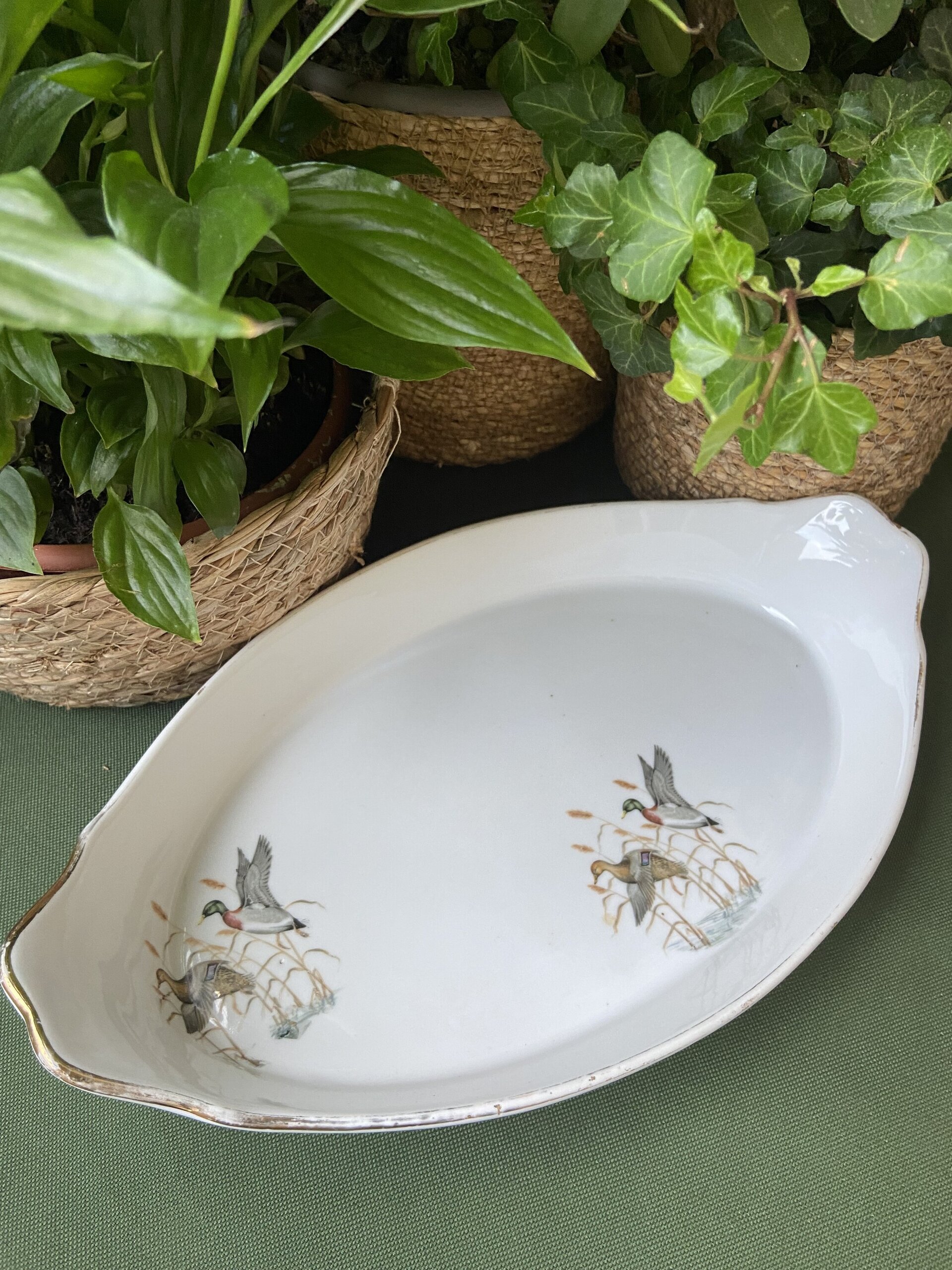 Fuente horno en porcelana "Isard" - 2