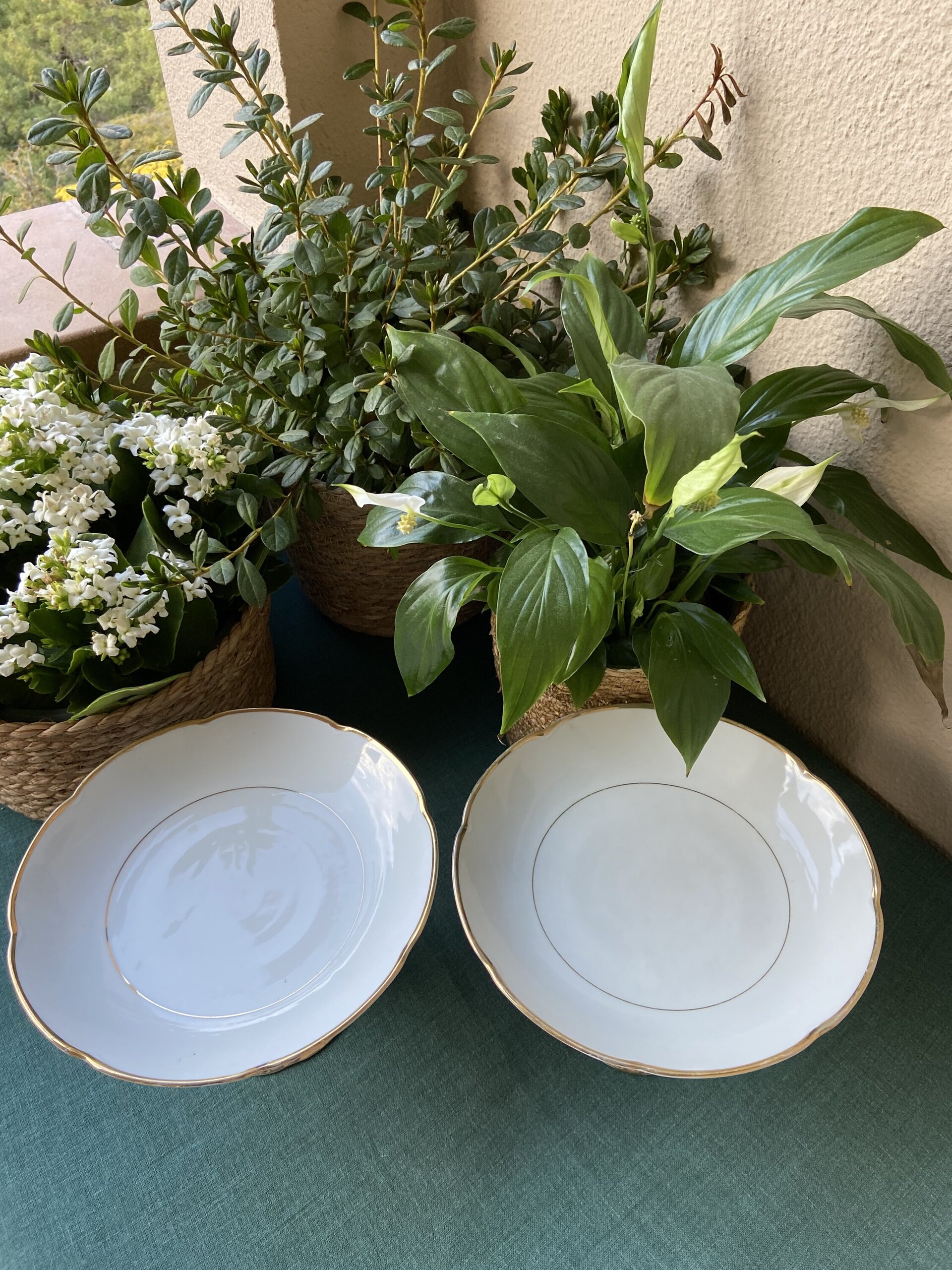 Pareja de fruetros/pasteleros en porcelana austriaca "Q&E.G." - 5