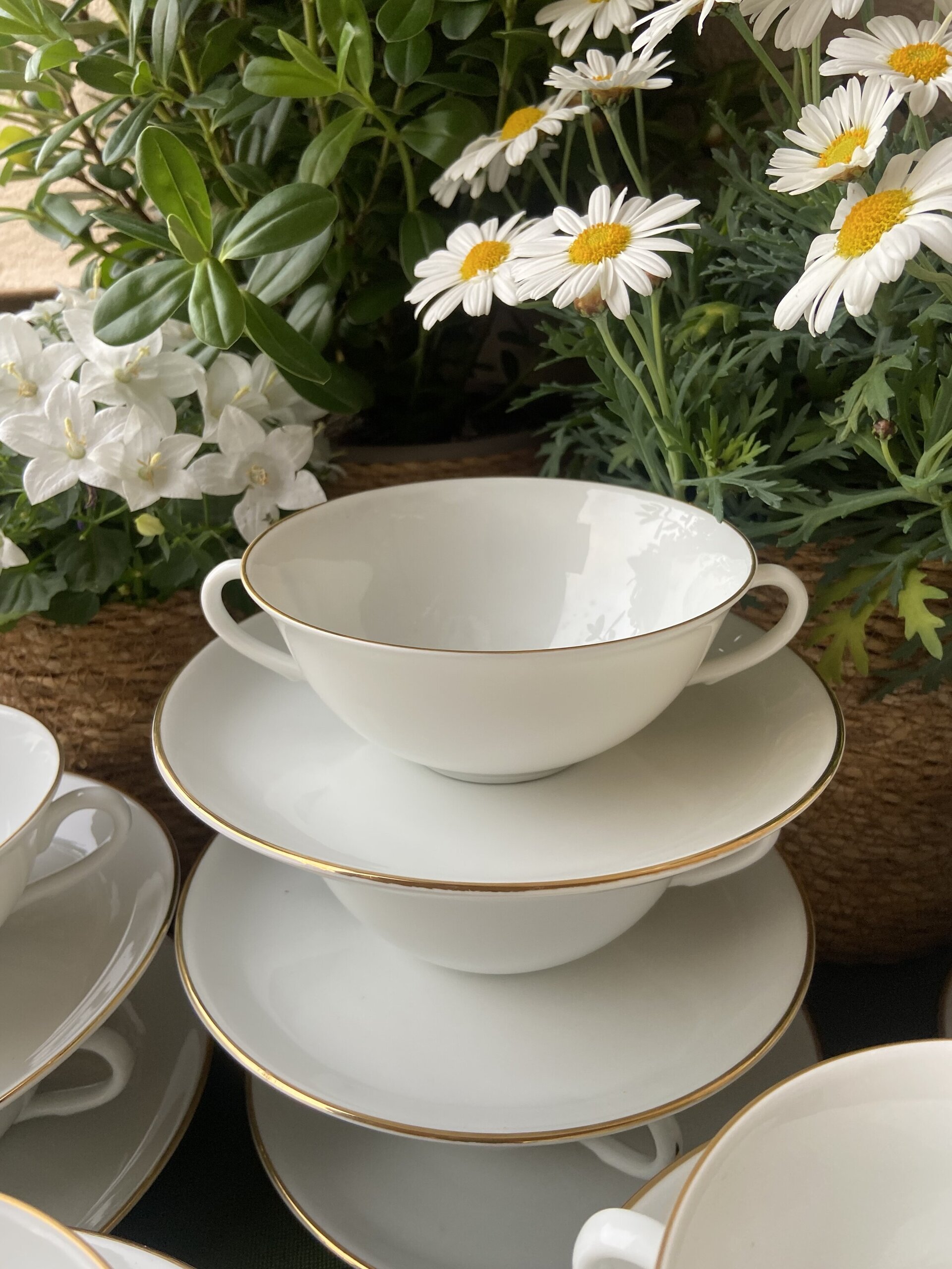 12 tazas de consomé en porcelana "Bidasoa". - 4