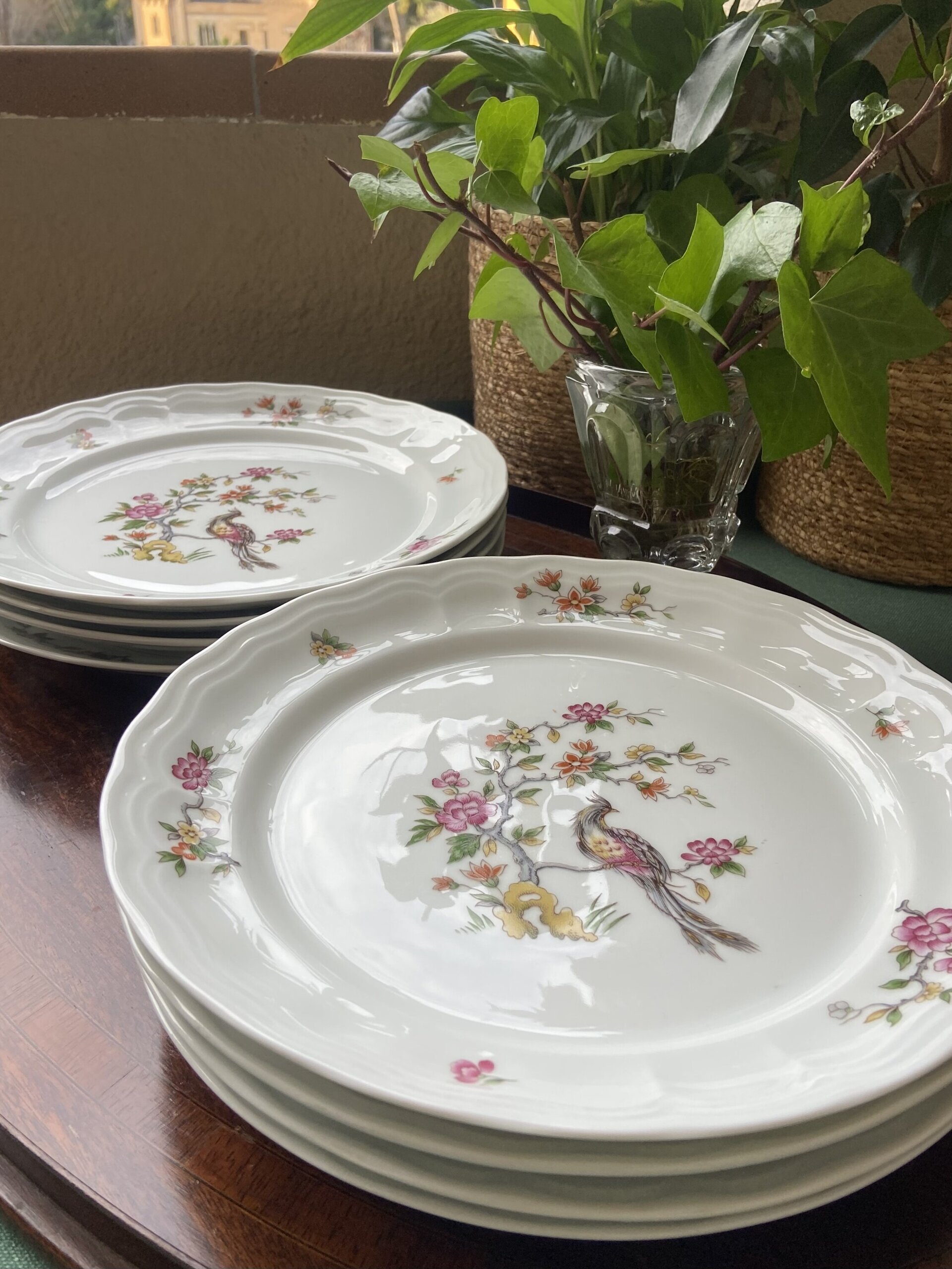 8 platos llanos en porcelana "Bidasoa". - 4