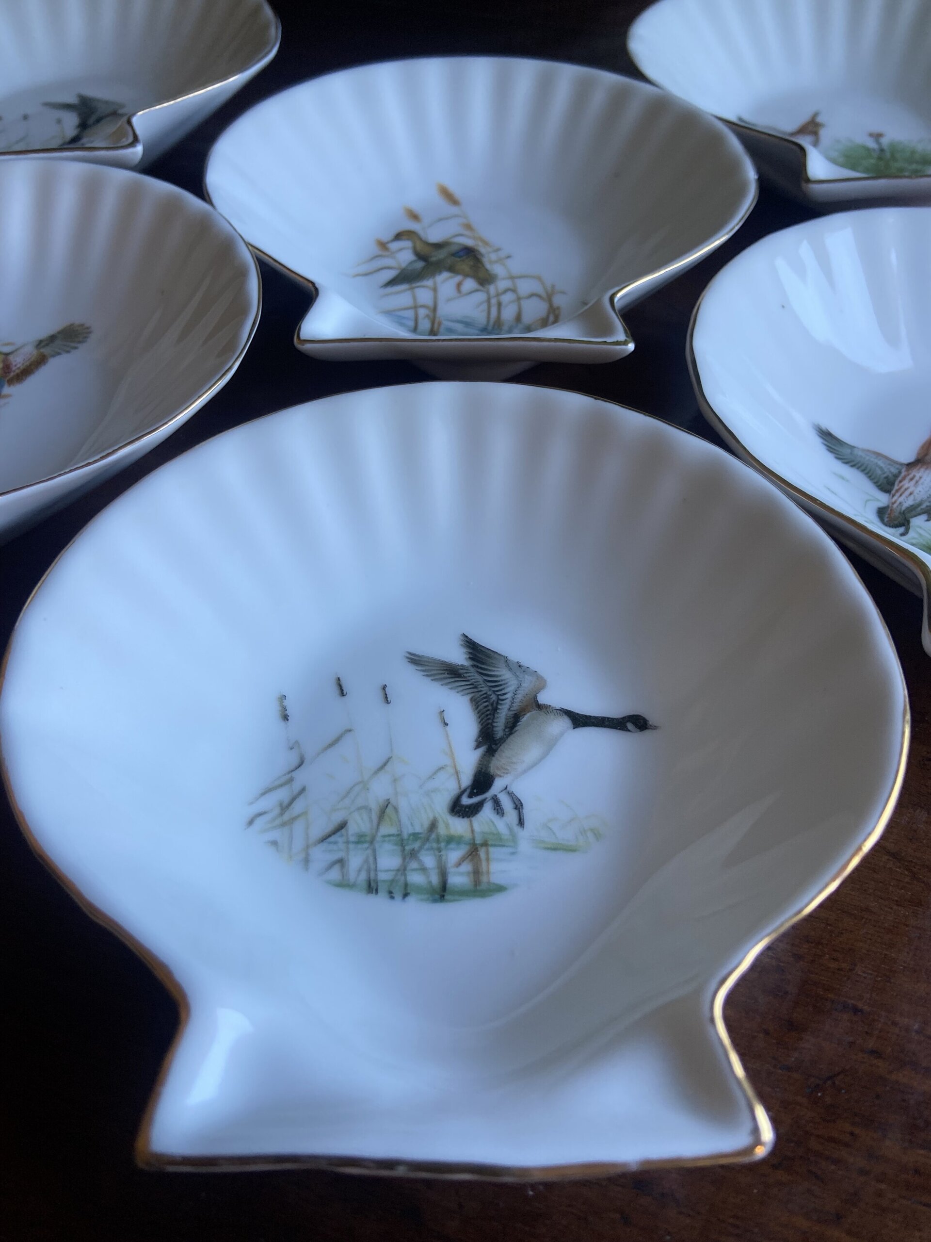 6 conchas en porcelana refractaria "Isard" - 4