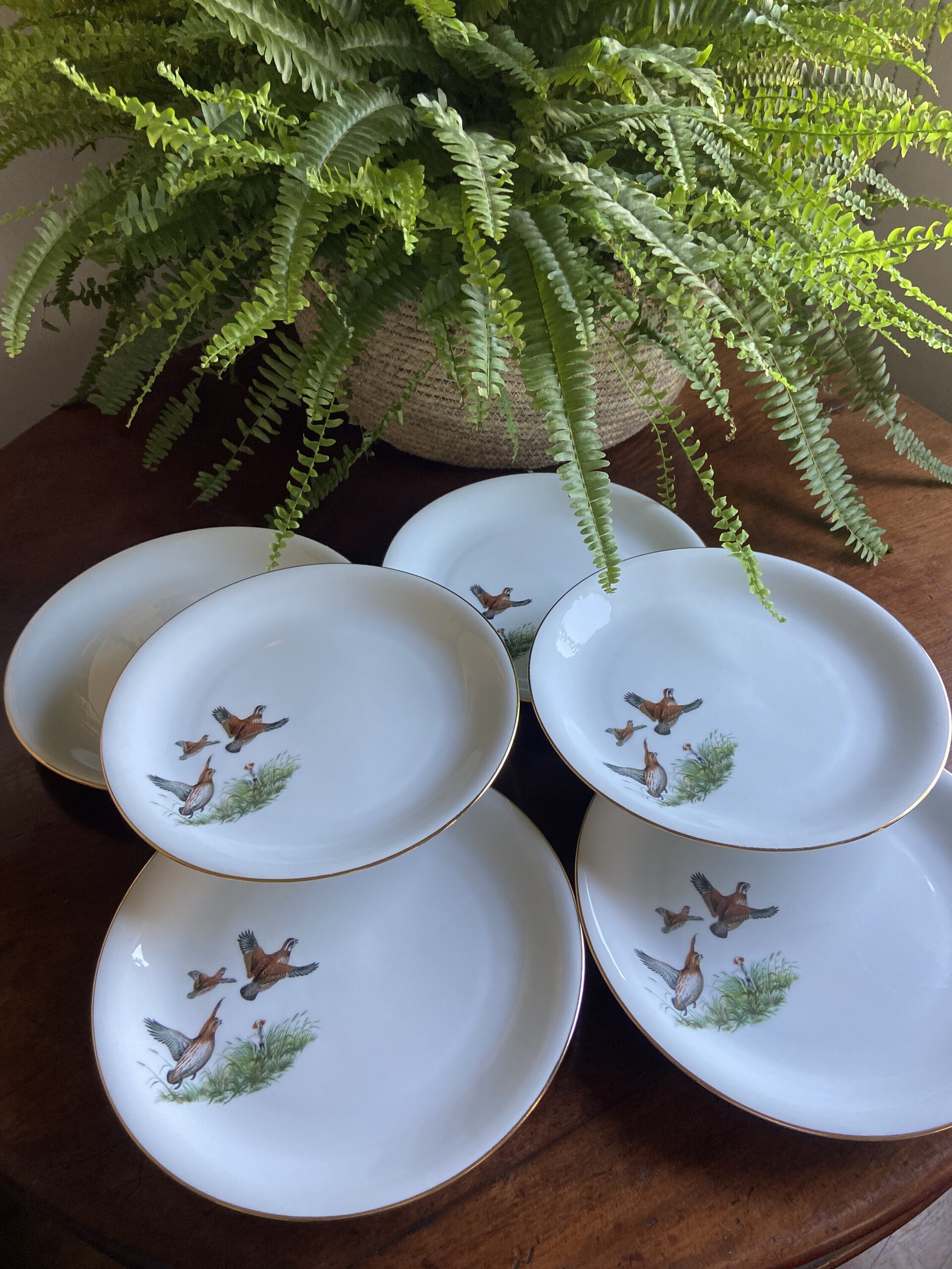 6 platos llanos en porcelana "Santa Clara". - 1