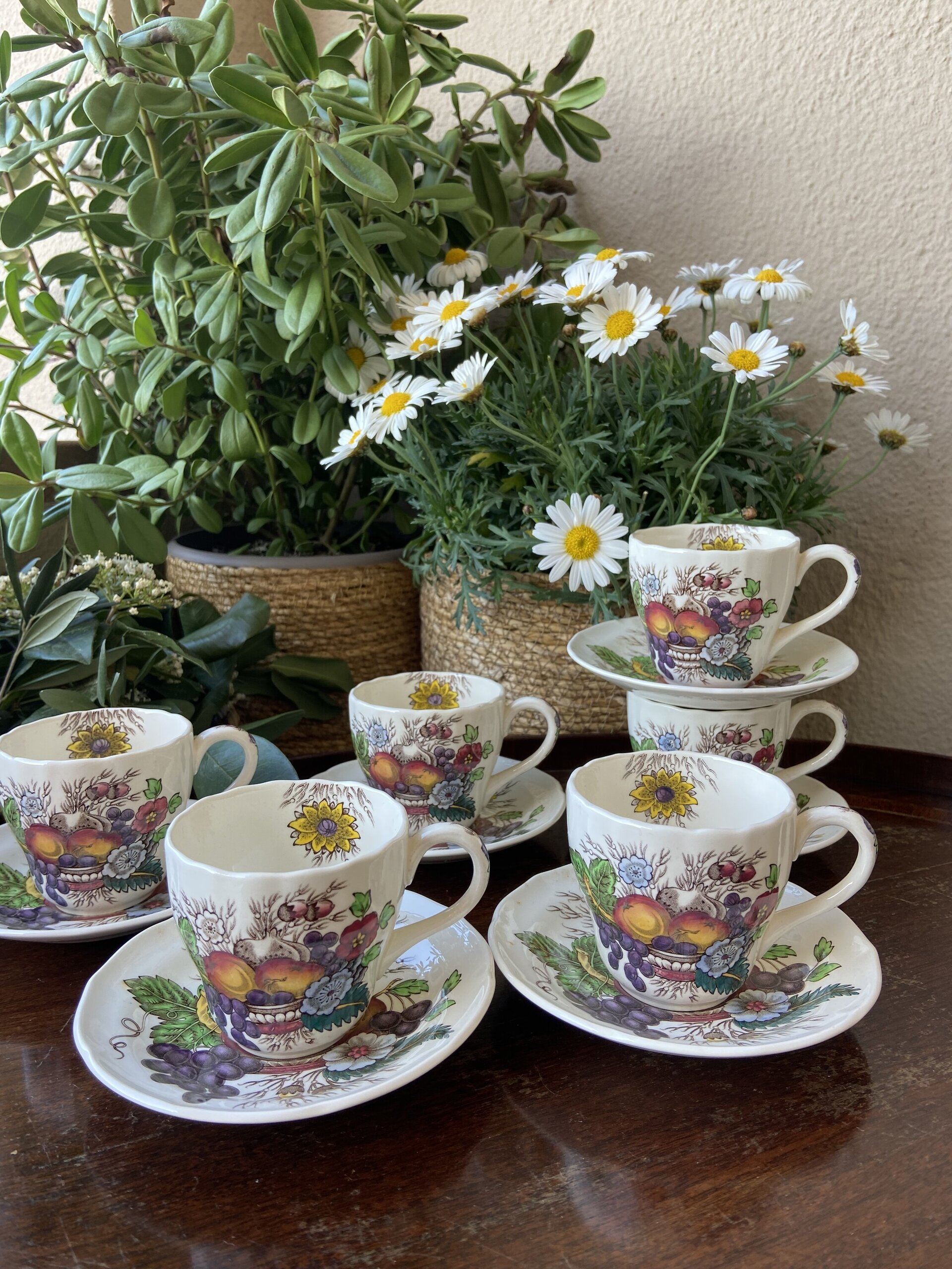 6 tazas cafe en loza inglesa "Spode" - 2