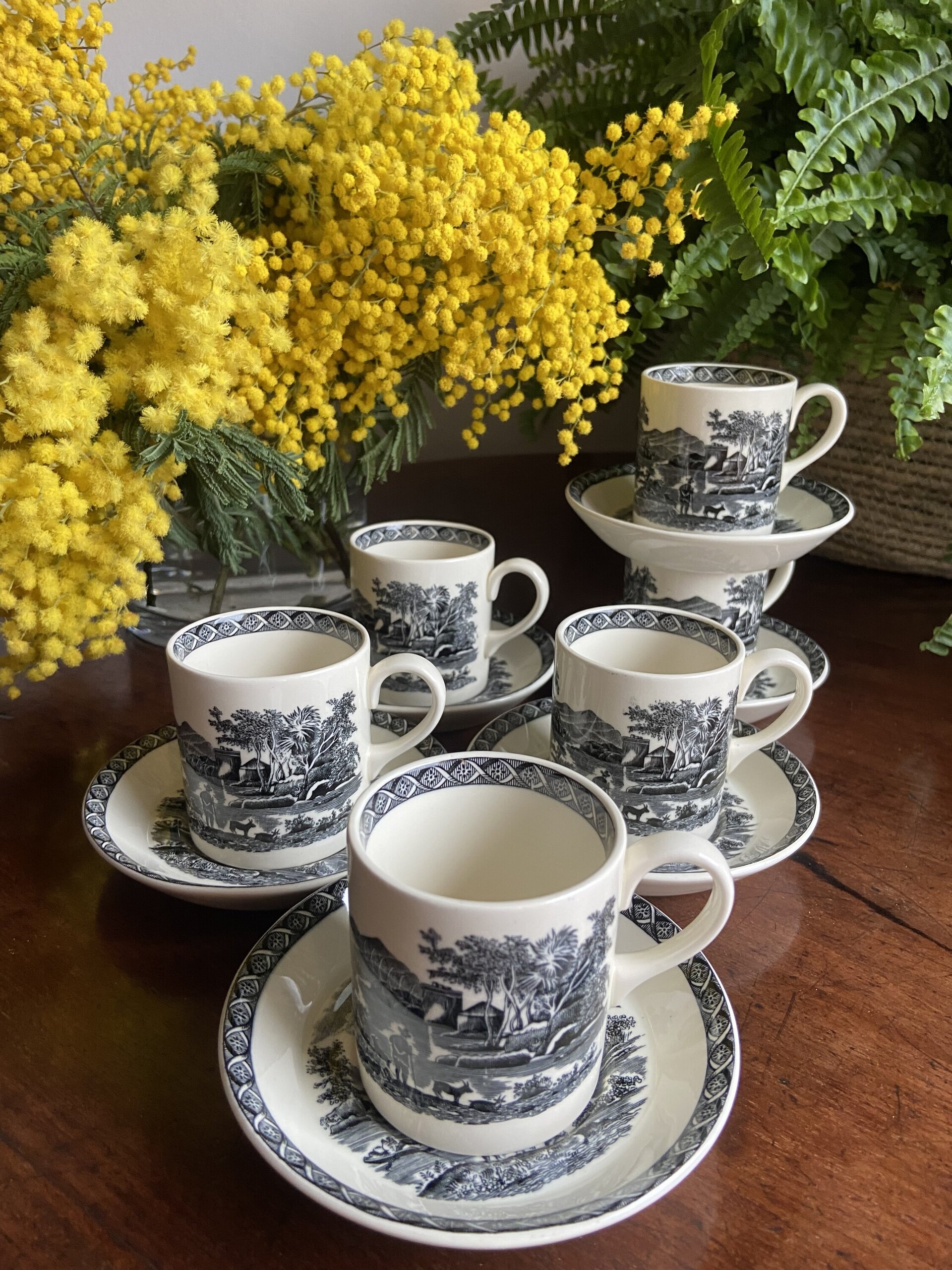 6 tazas de café en porcelana inglesa"Wegwood" (mod.Lugano) - 2