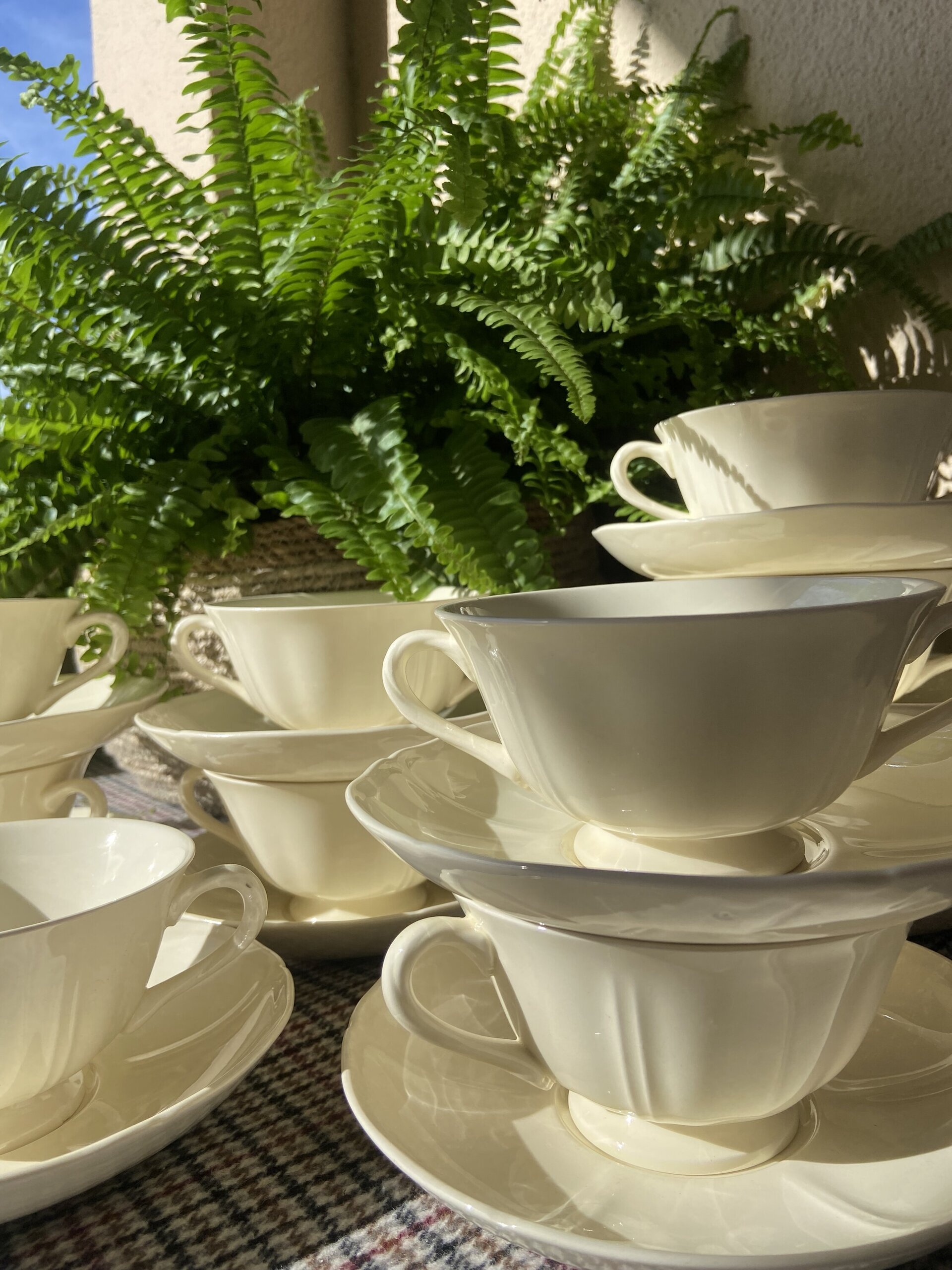 10 tazas de consomé inglesas "Wedgwood". - 5