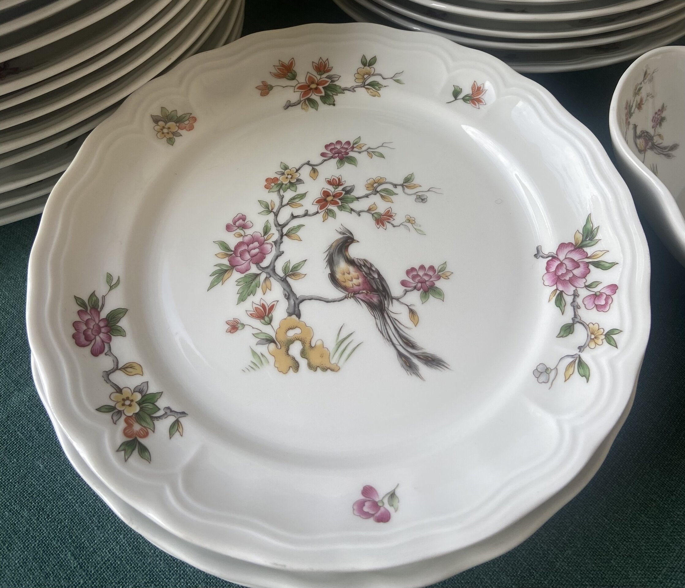 8 platos llanos en porcelana "Bidasoa". - 2