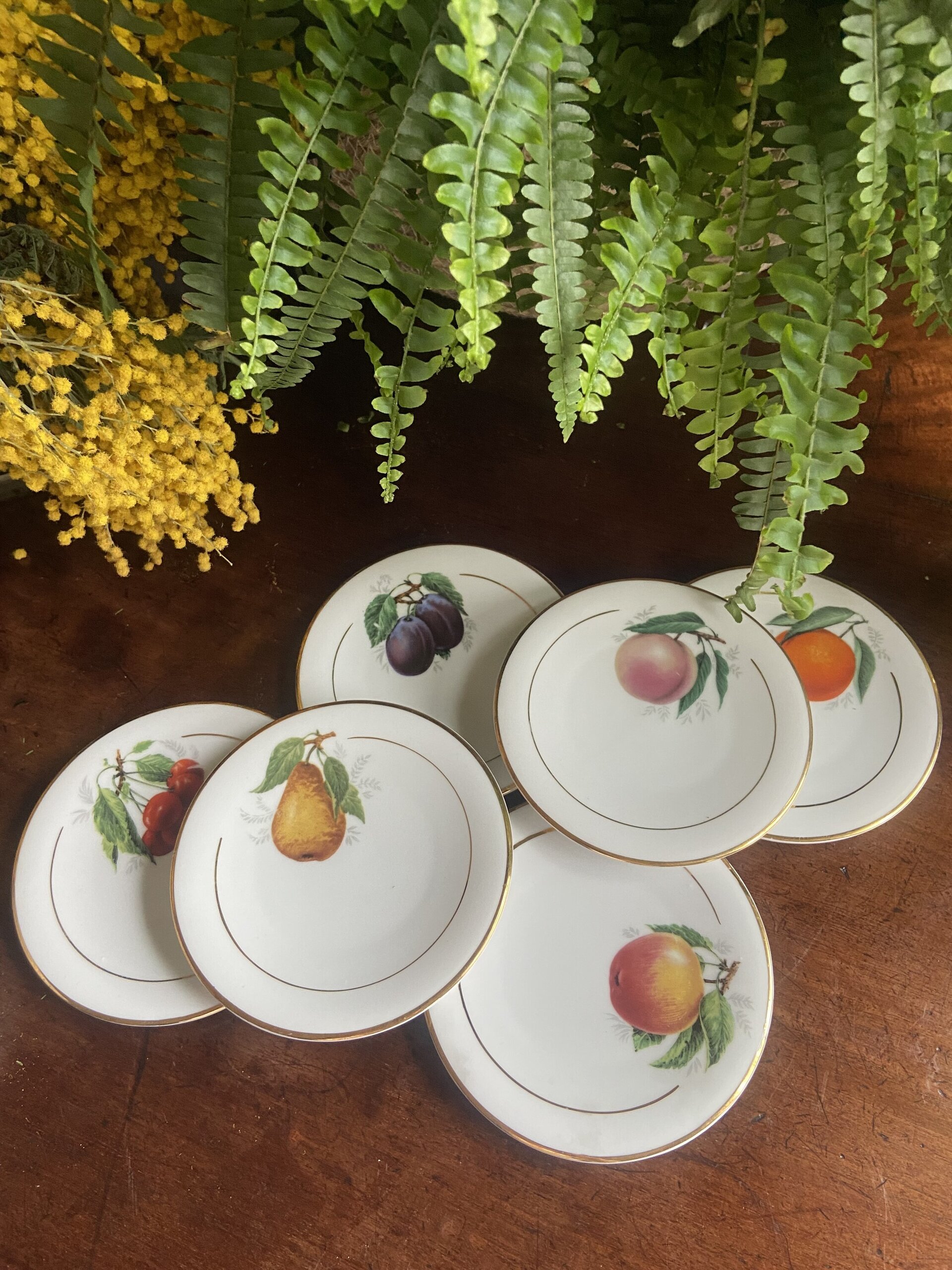 6 platos pan en porcelana - 1