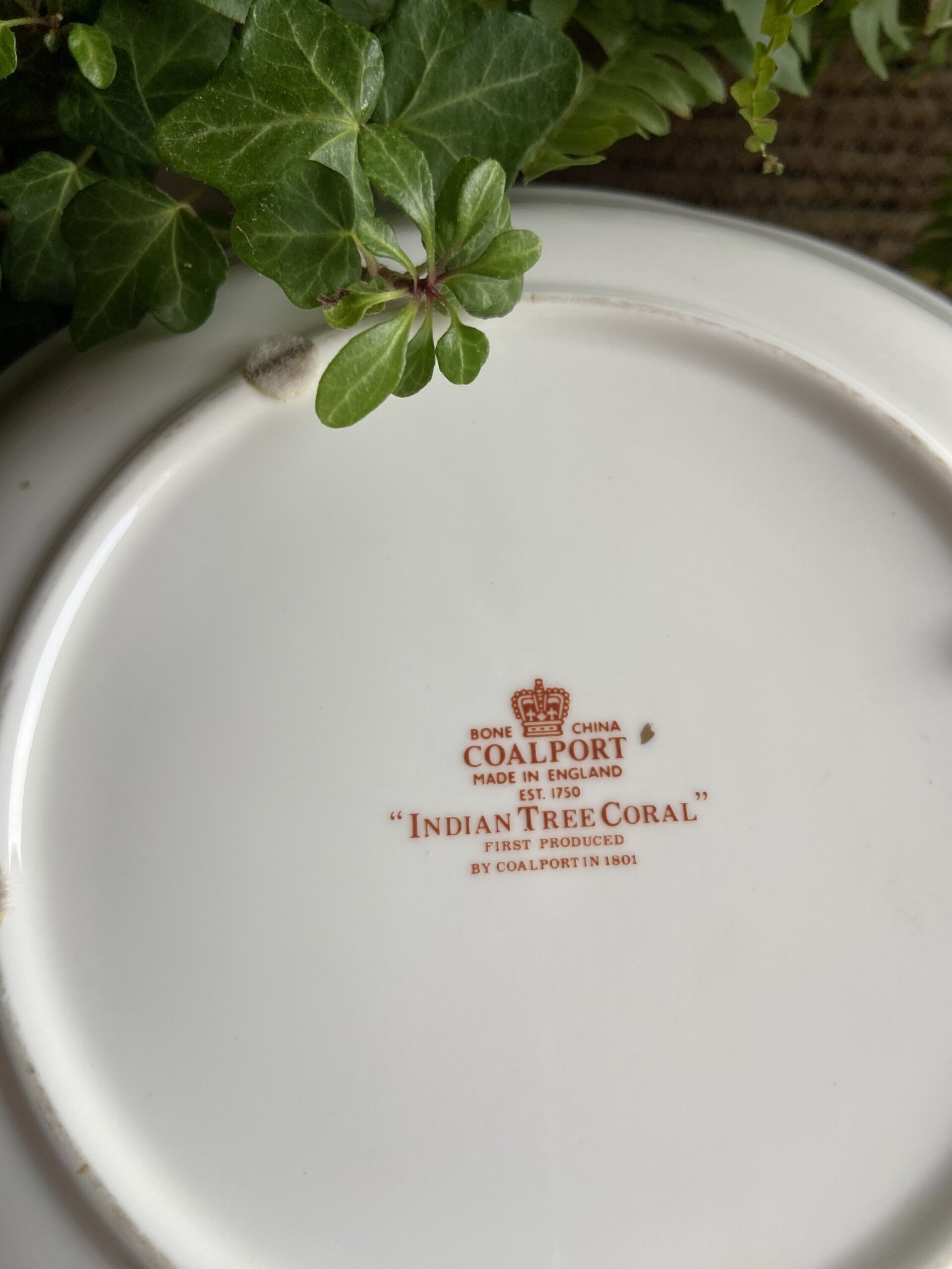 Fuente redonda con asas en porcelana inglesa "Coalport". - 5