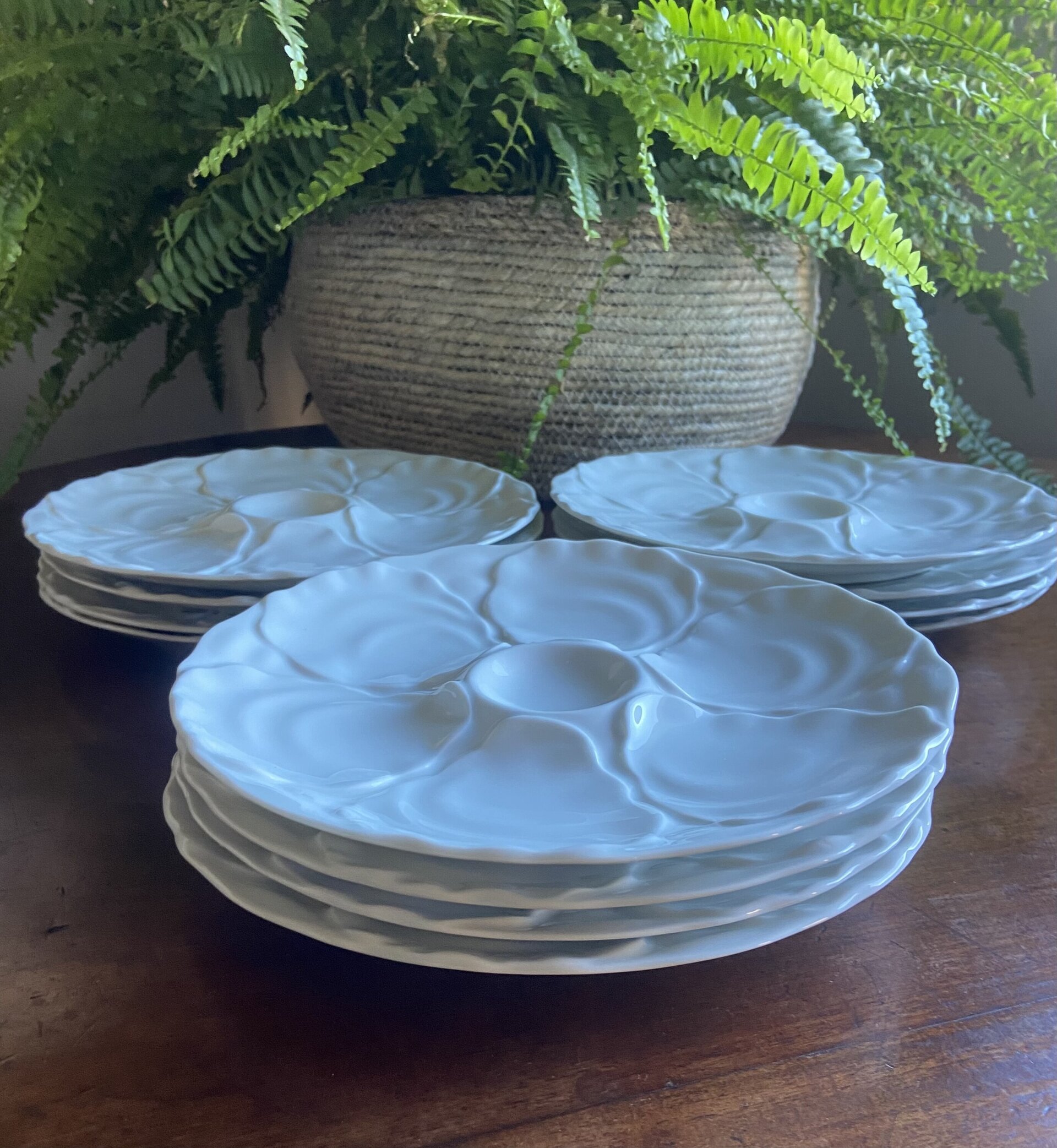 Platos para ostras en porcelana "Bidasoa". - 2