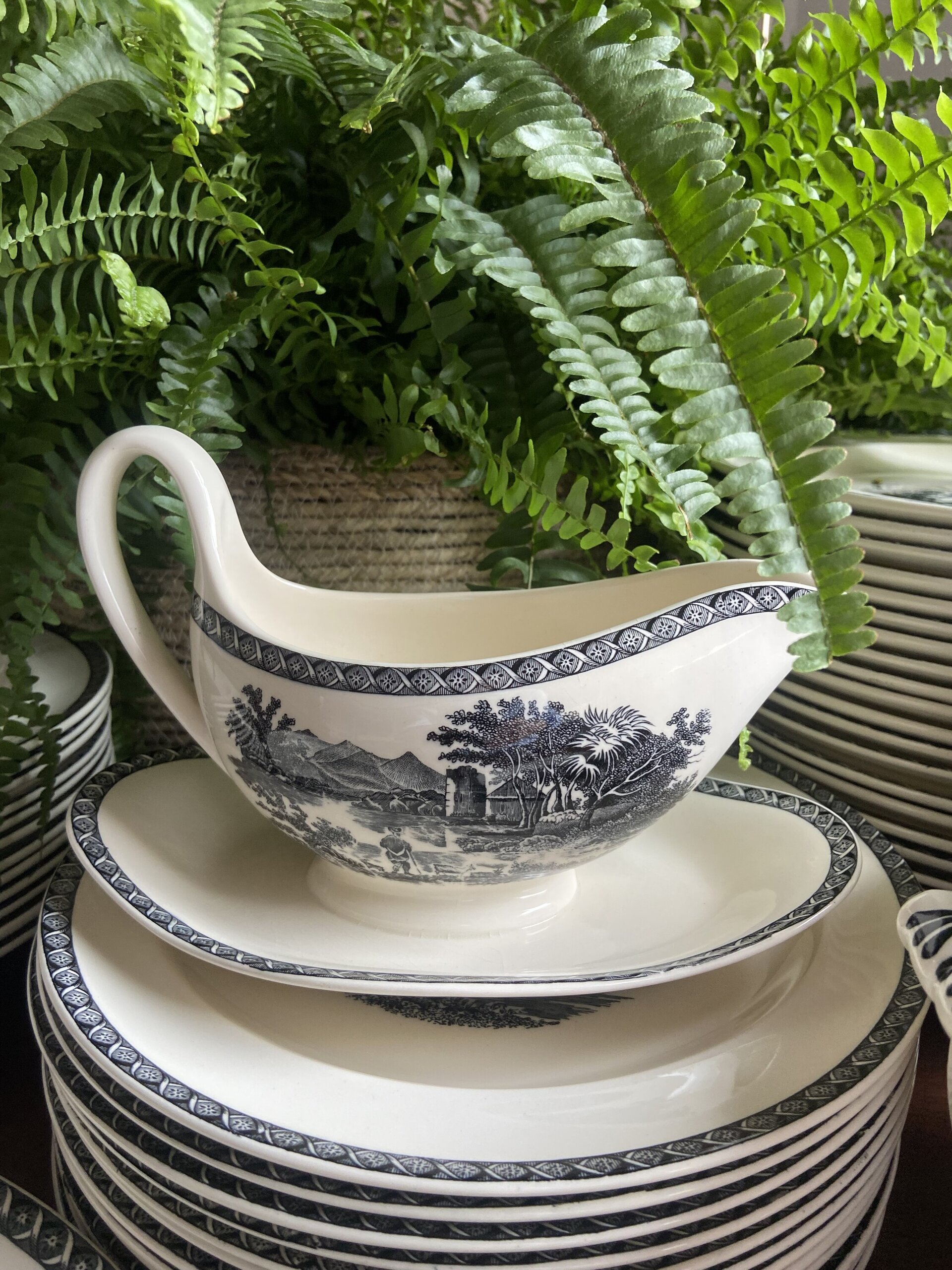 Vajilla en porcelana inglesa "Wedgwood" (mod. Lugano) - 11