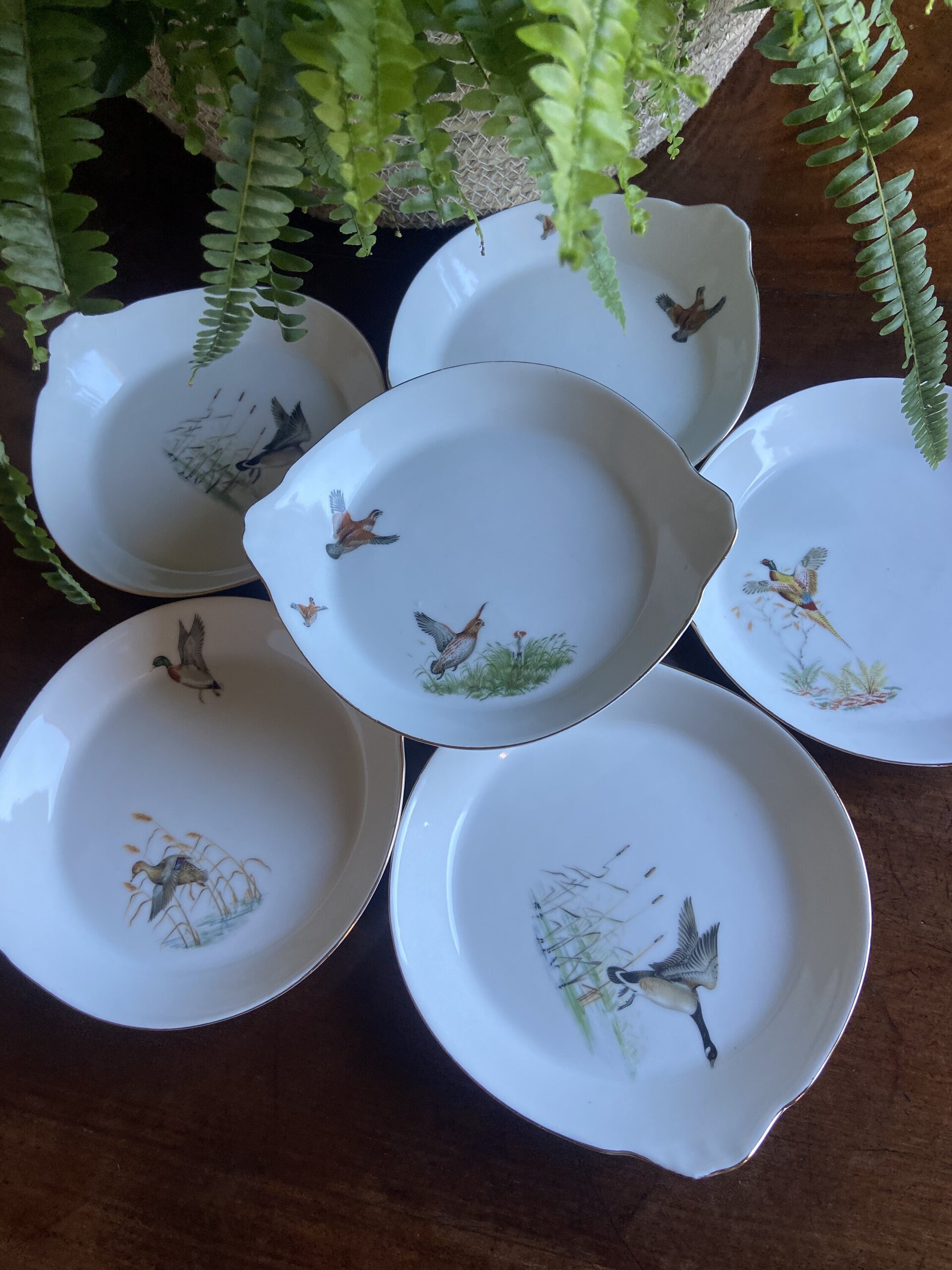 6 fuentes individuales en porcelana refractaria"Isard" - 1