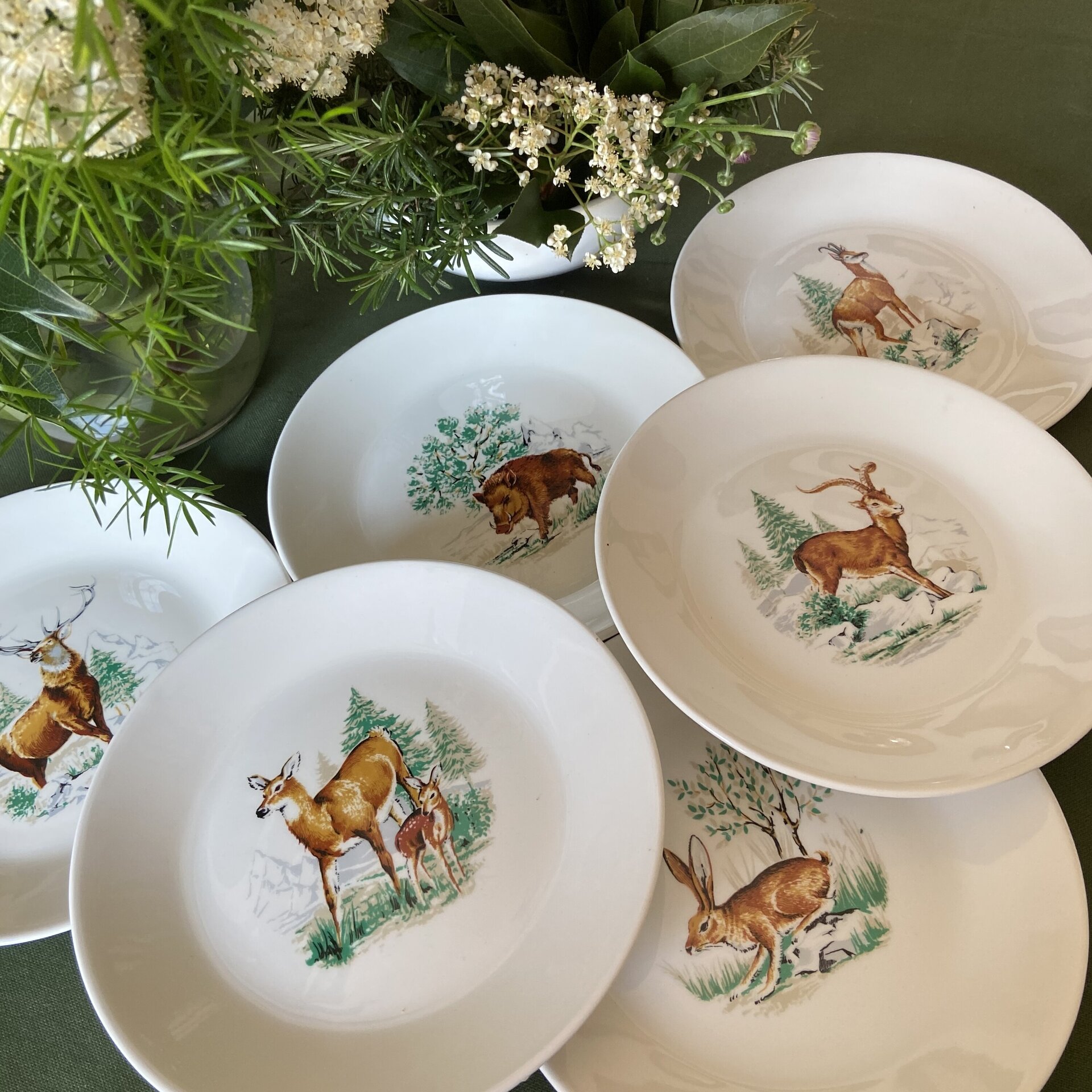 Juego 6 platos porcelana decorados con diferentes animales. - 2