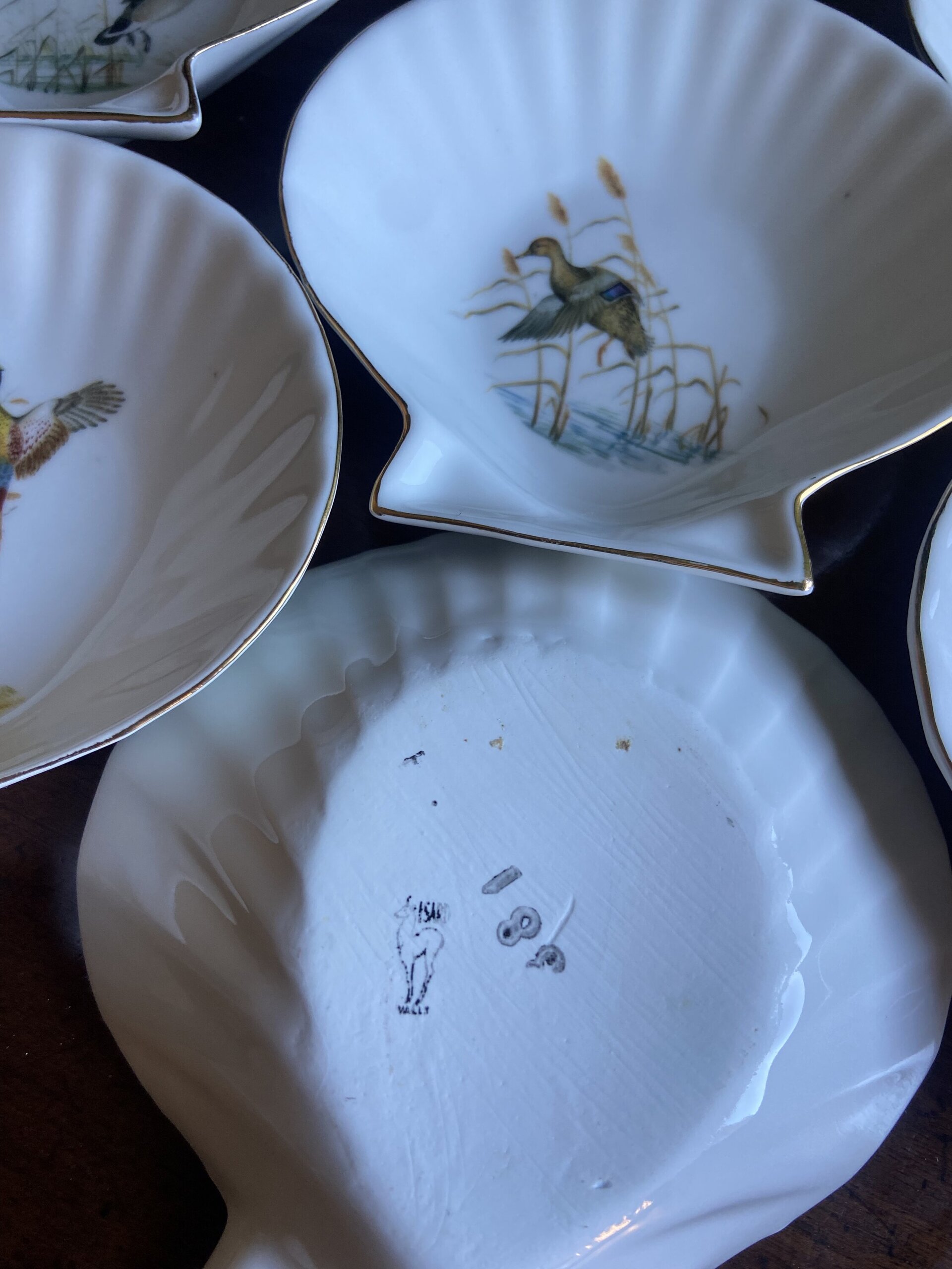 6 conchas en porcelana refractaria "Isard" - 7