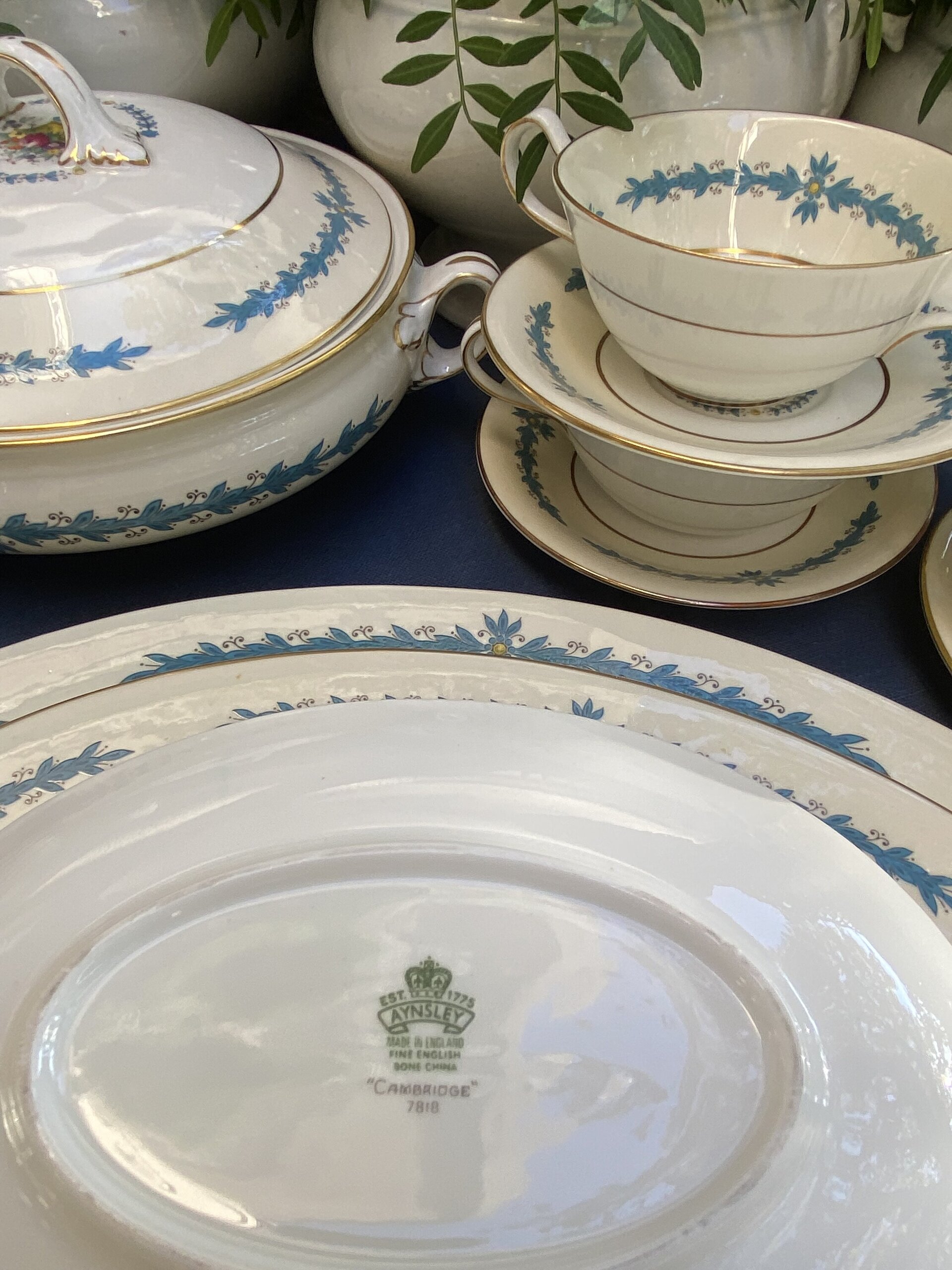 Vajilla en fina porcelana inglesa "Aynsley" Bone China. - 7