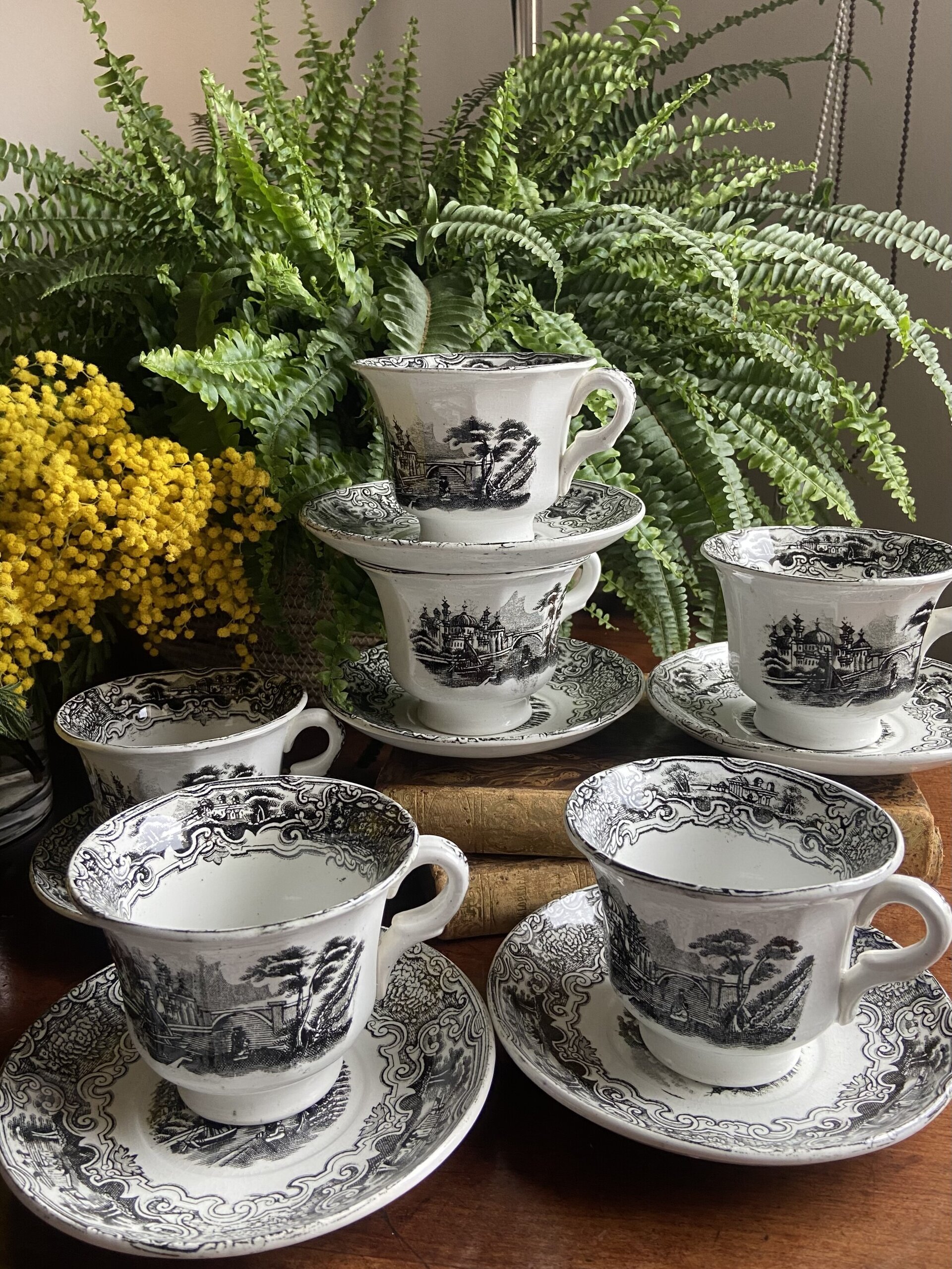 6 tazas de desayuño en loza "Pickman S.A. Sevilla" Cartuja - 5