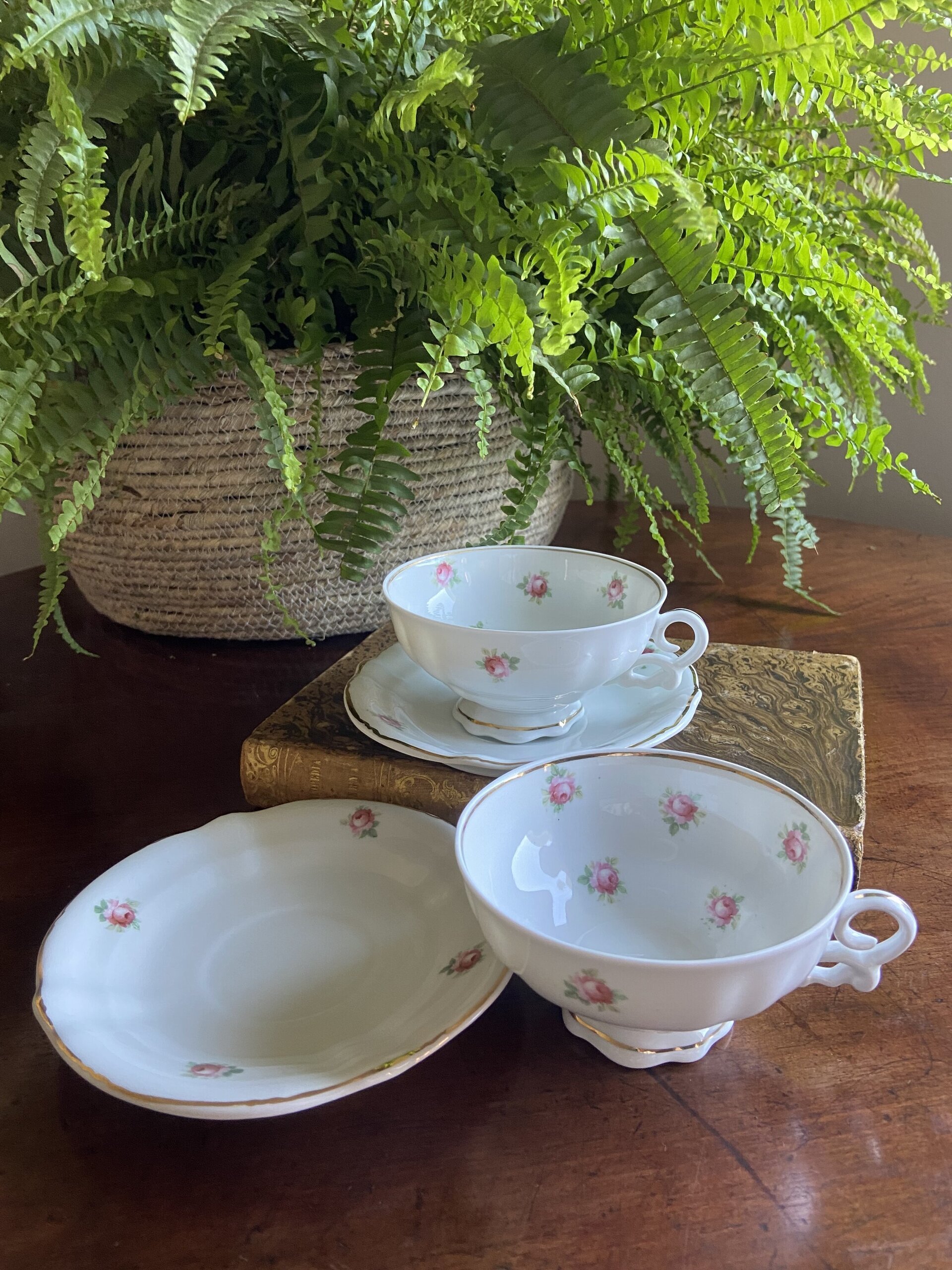2 tazas de té/desayuño en porcelana levantina "Hispania". - 2