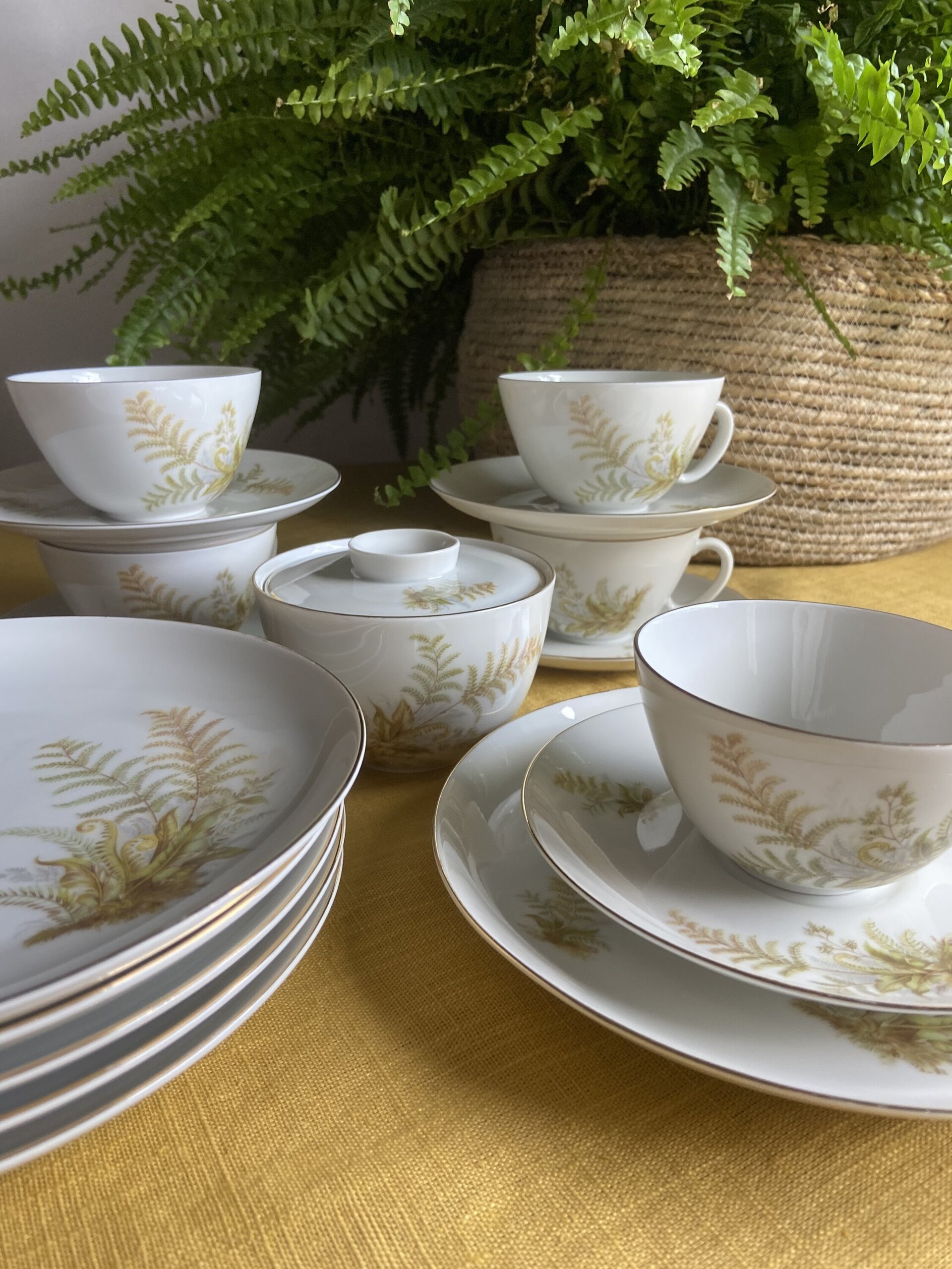 5 tazas de té/desayuno y 6 platos de merienda en porcelana suiza "Langenthal" - 1