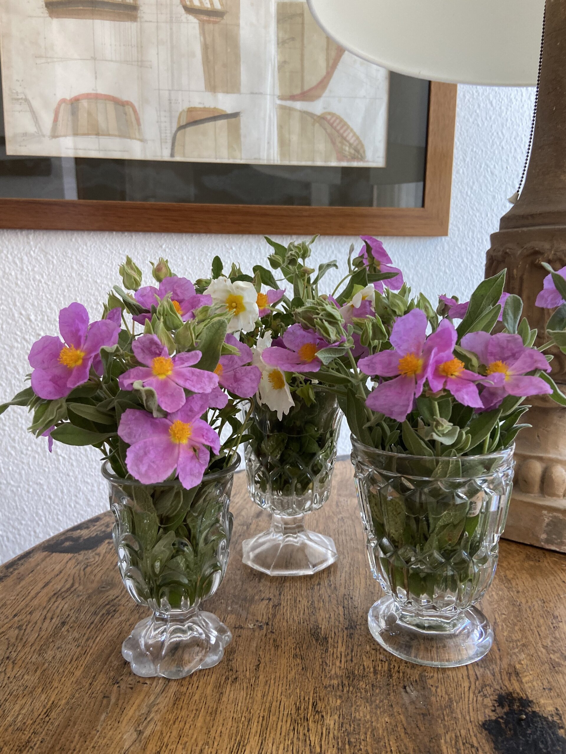 Copa huertana en vidrio de cristalerias "Santa Lucia" Murcia - 5