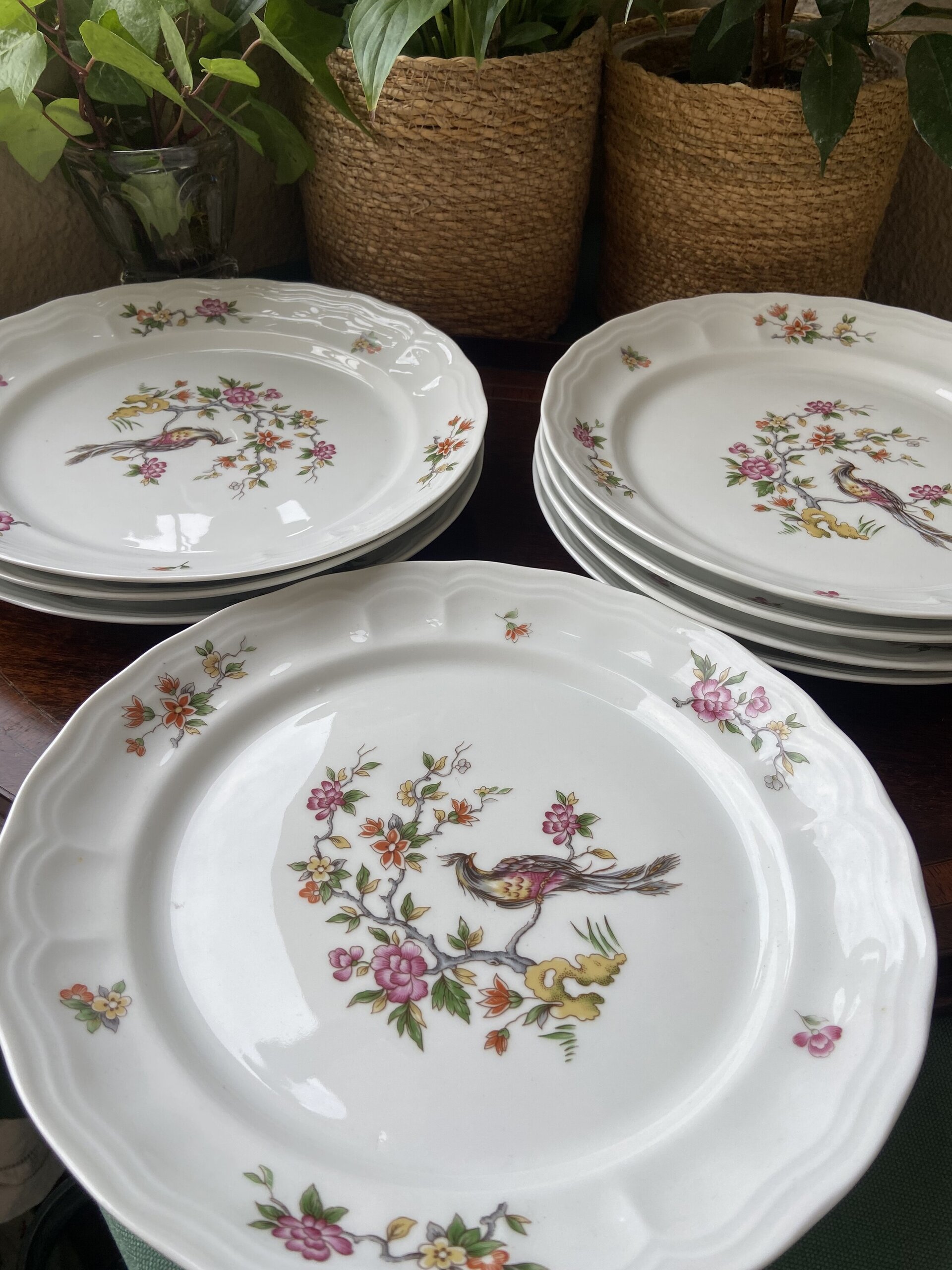 8 platos llanos en porcelana "Bidasoa". - 3