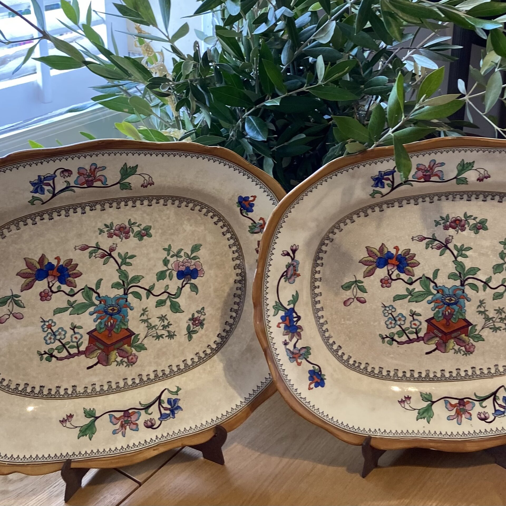 Pareja de fuentes medianas en loza inglesa "Coalport" Kings Ware - 2