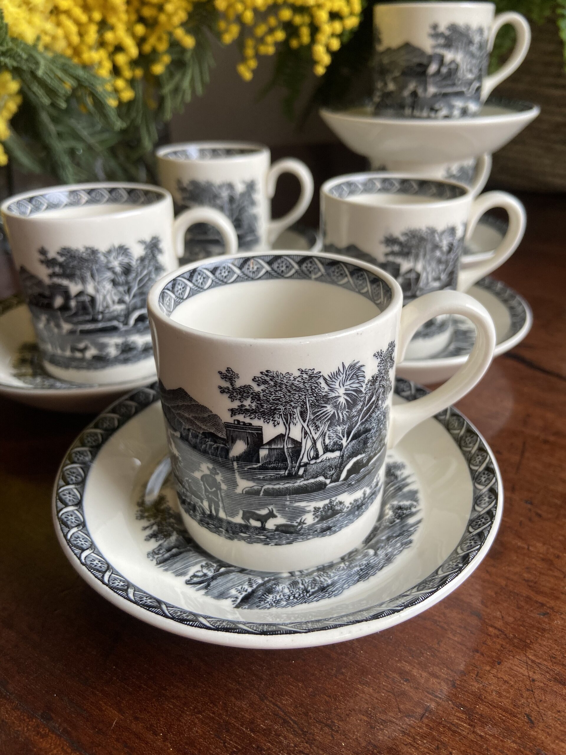 6 tazas de café en porcelana inglesa"Wegwood" (mod.Lugano) - 5