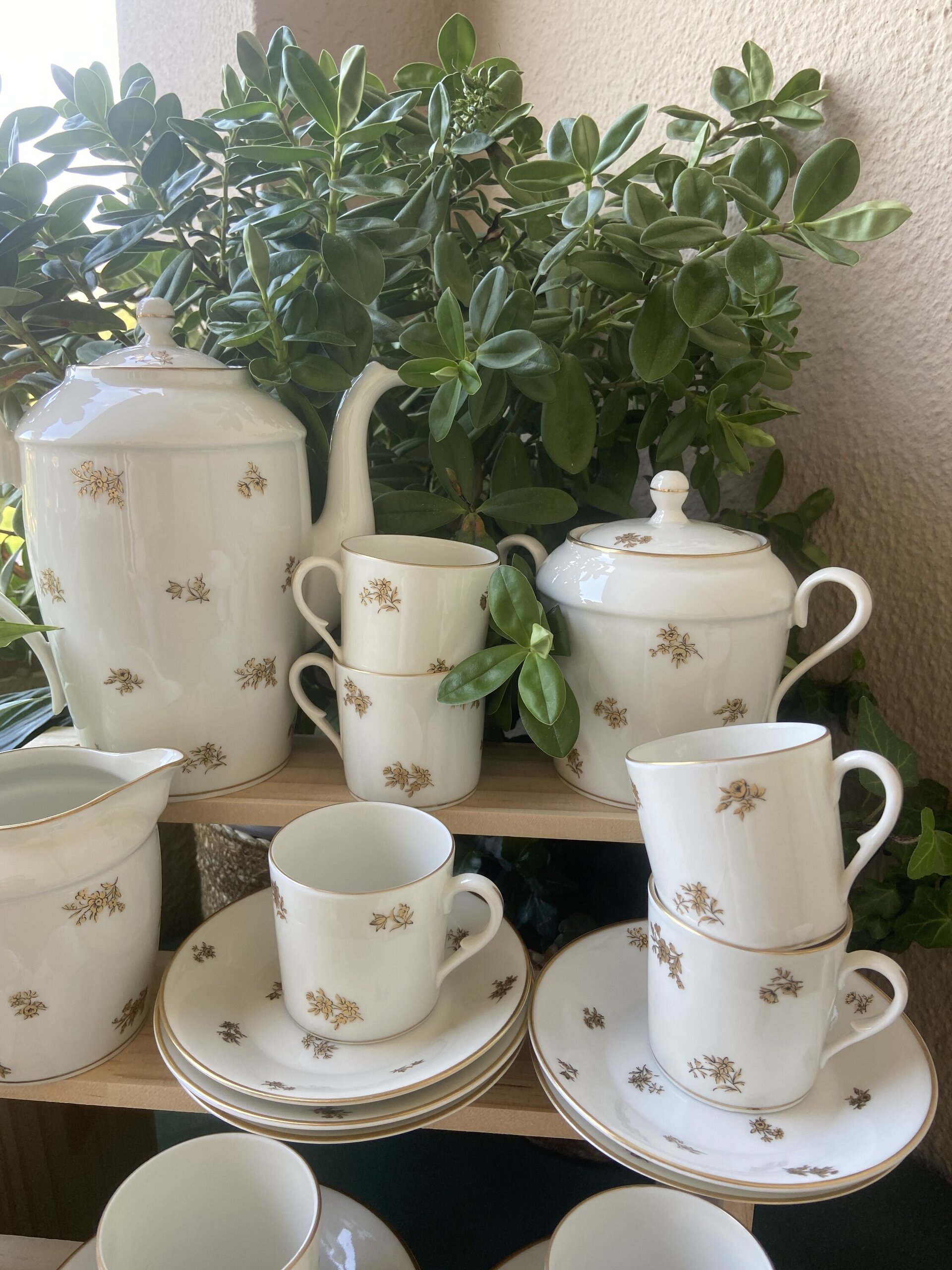 Juego de café en porcelana "Bidasoa". - 2