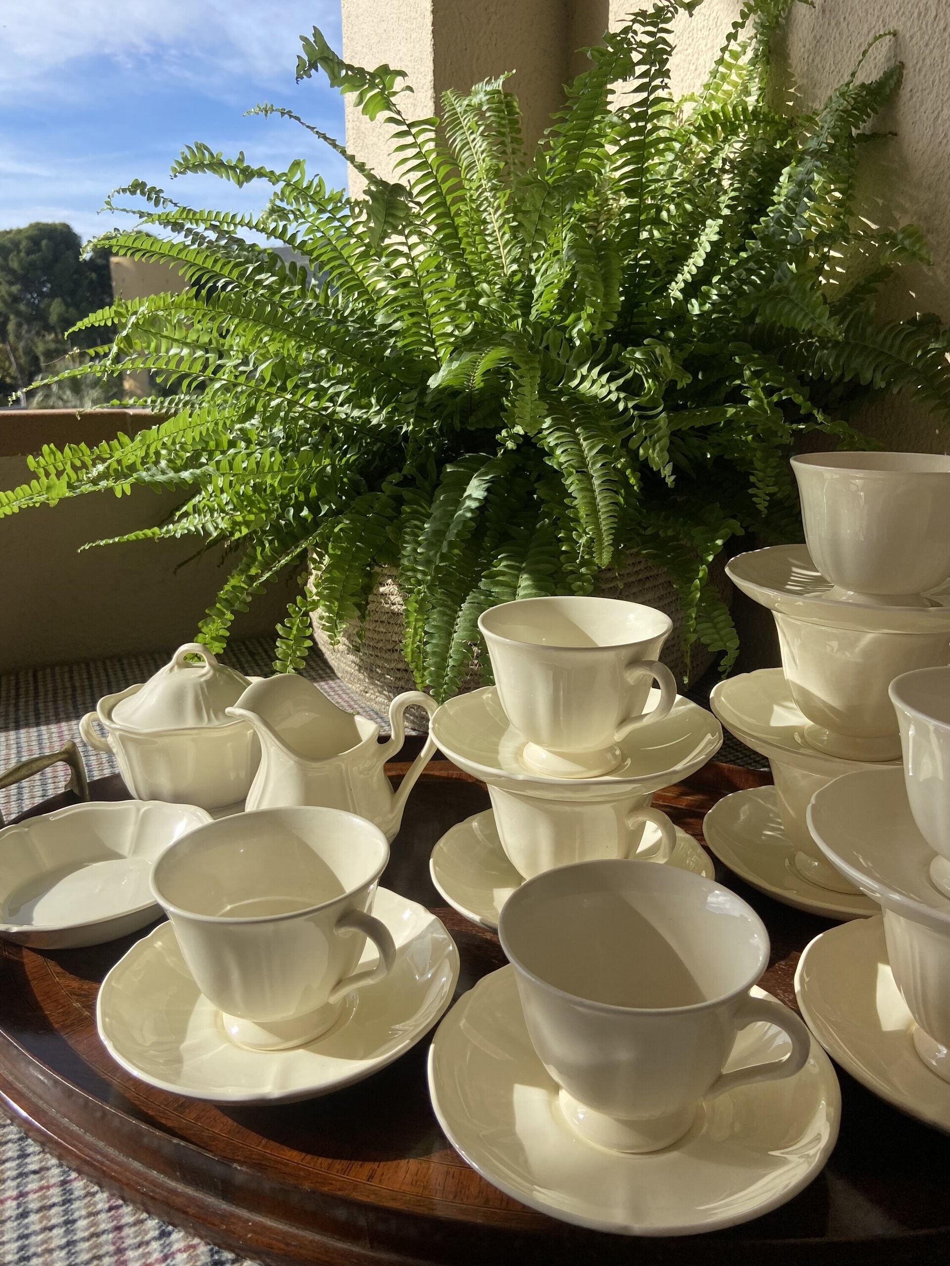 9 tazas de té, azucarero, lechera y bol ingleses "Wedgwood". - 6