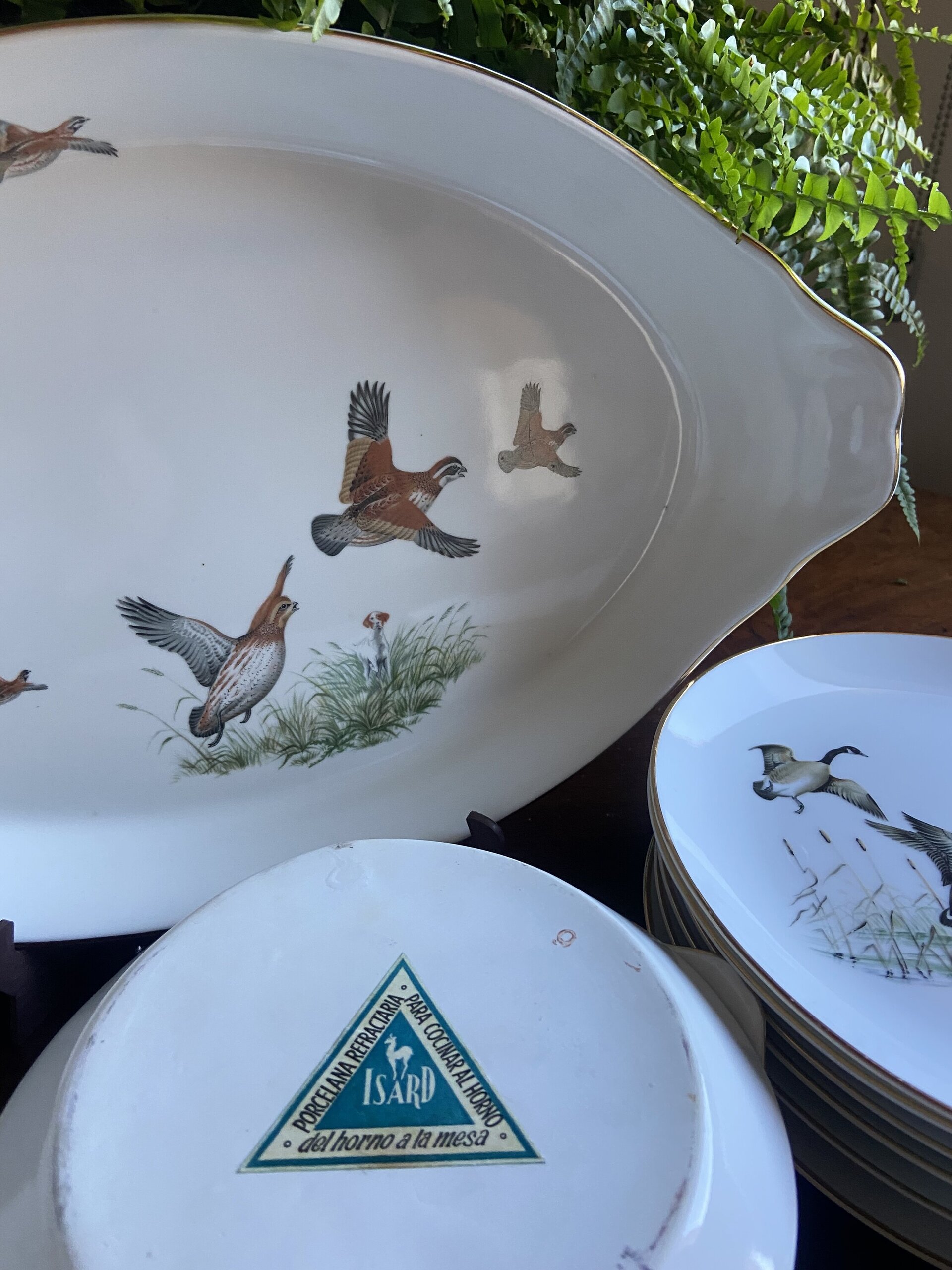 Fuente de horno en porcelana refractaria "Isard" - 1