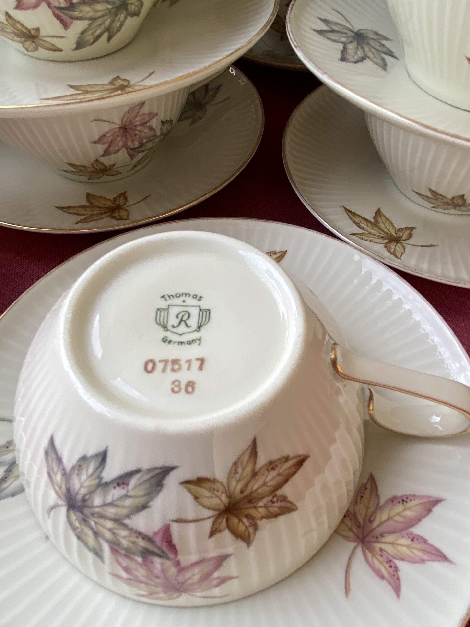 Juego de té en fina porcelana alemana"Thomas". - 7