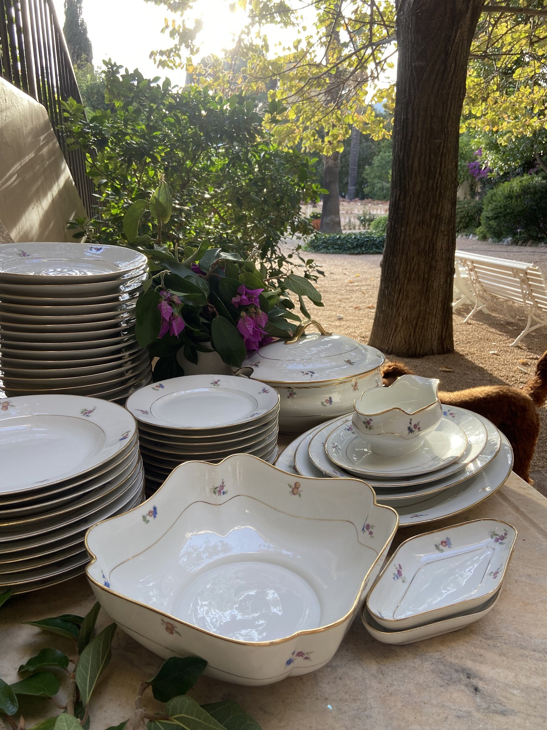 Vajilla en porcelana "Bidasoa", para 10 comensales. - 2