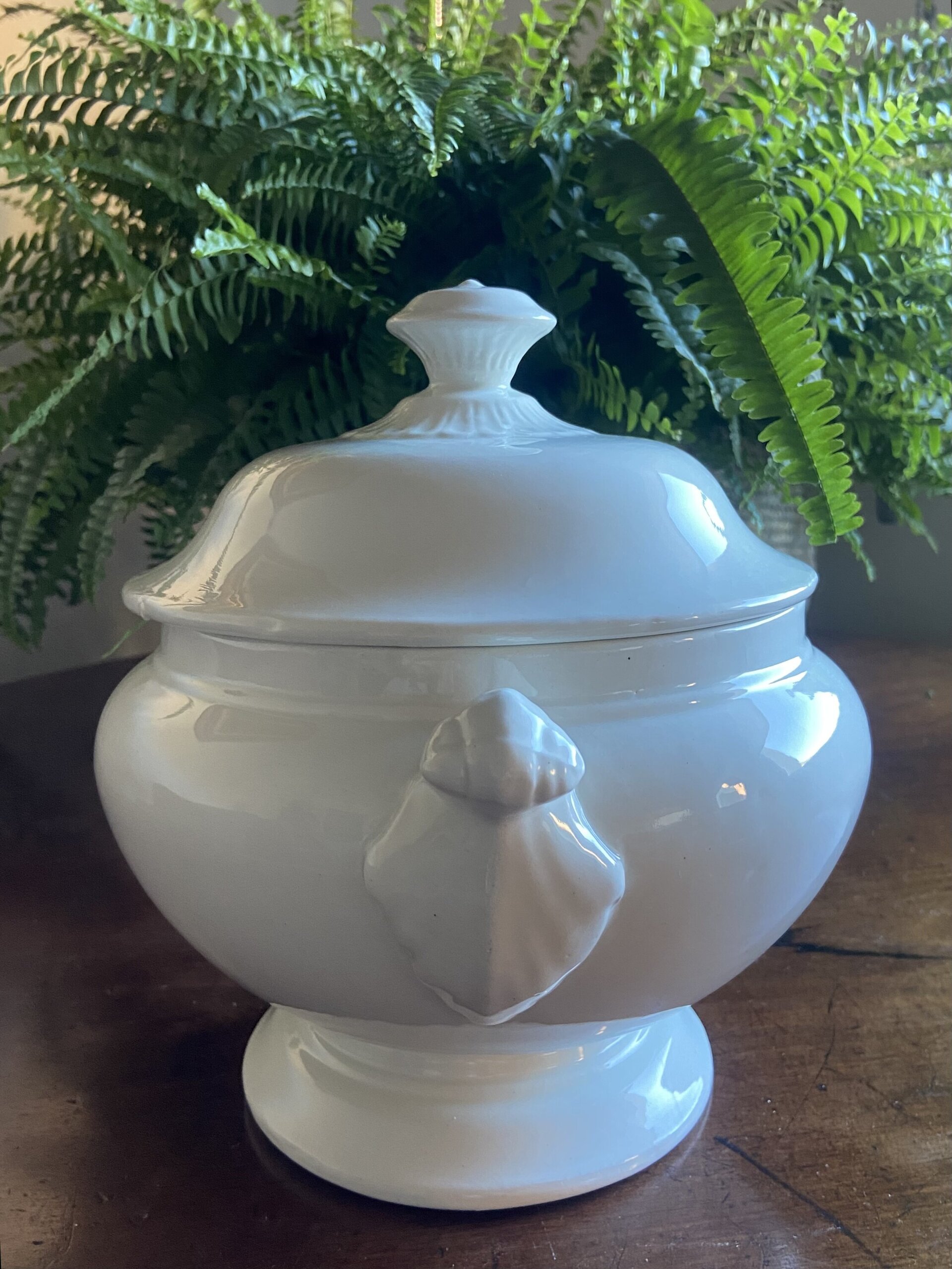 Sopera blanca de "San Claudio" Oviedo. - 2