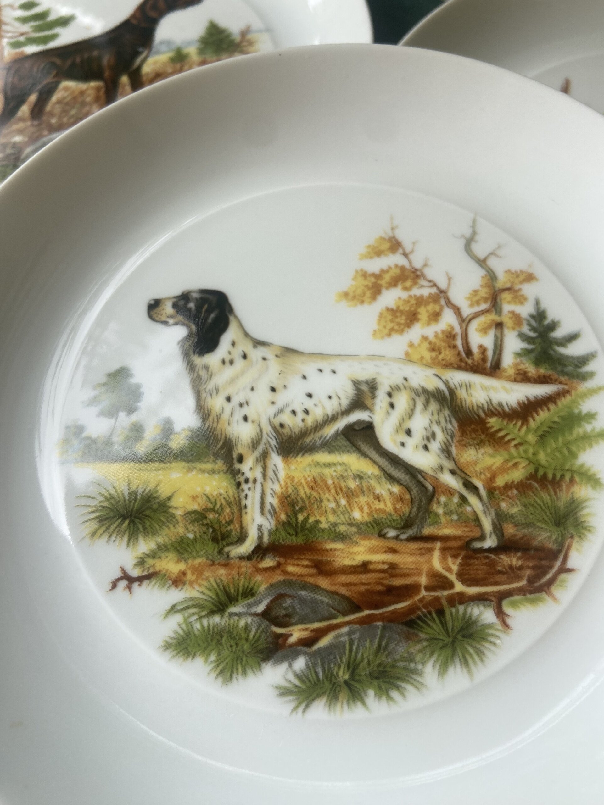 Fuente y 6 platos merienda en porcelana "Bidasoa". - 3