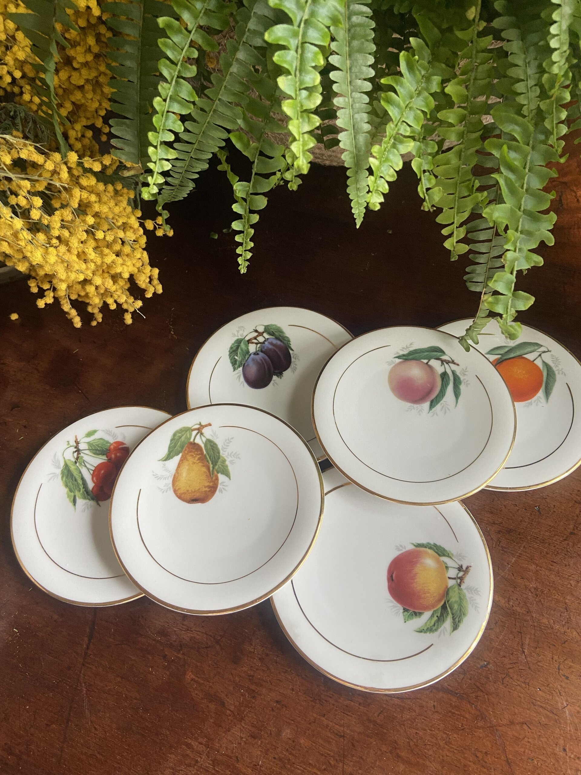 6 platos pan en porcelana - 2