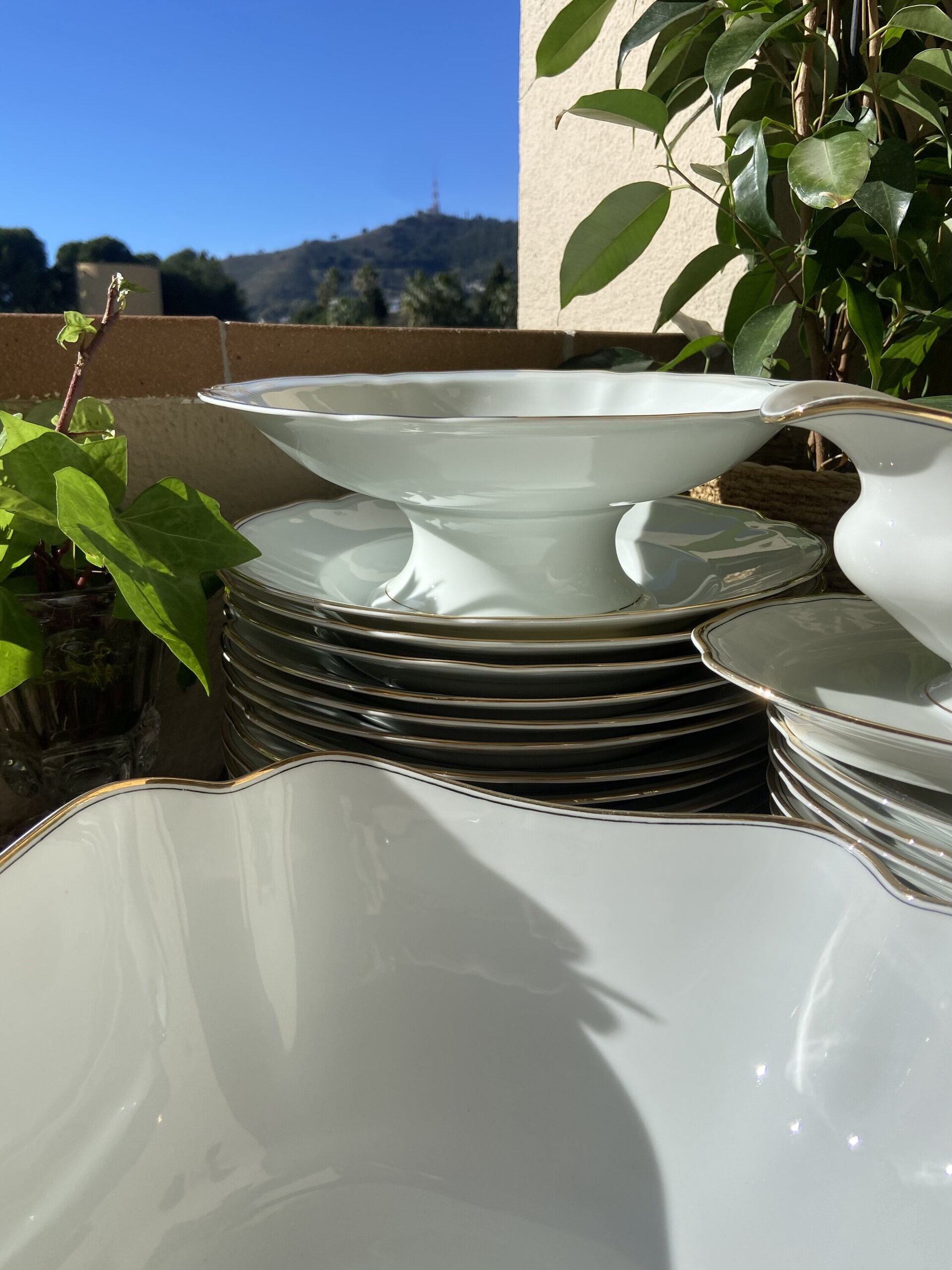 Vajilla en porcelana alemana de Bavaria "Scönwald". - 5