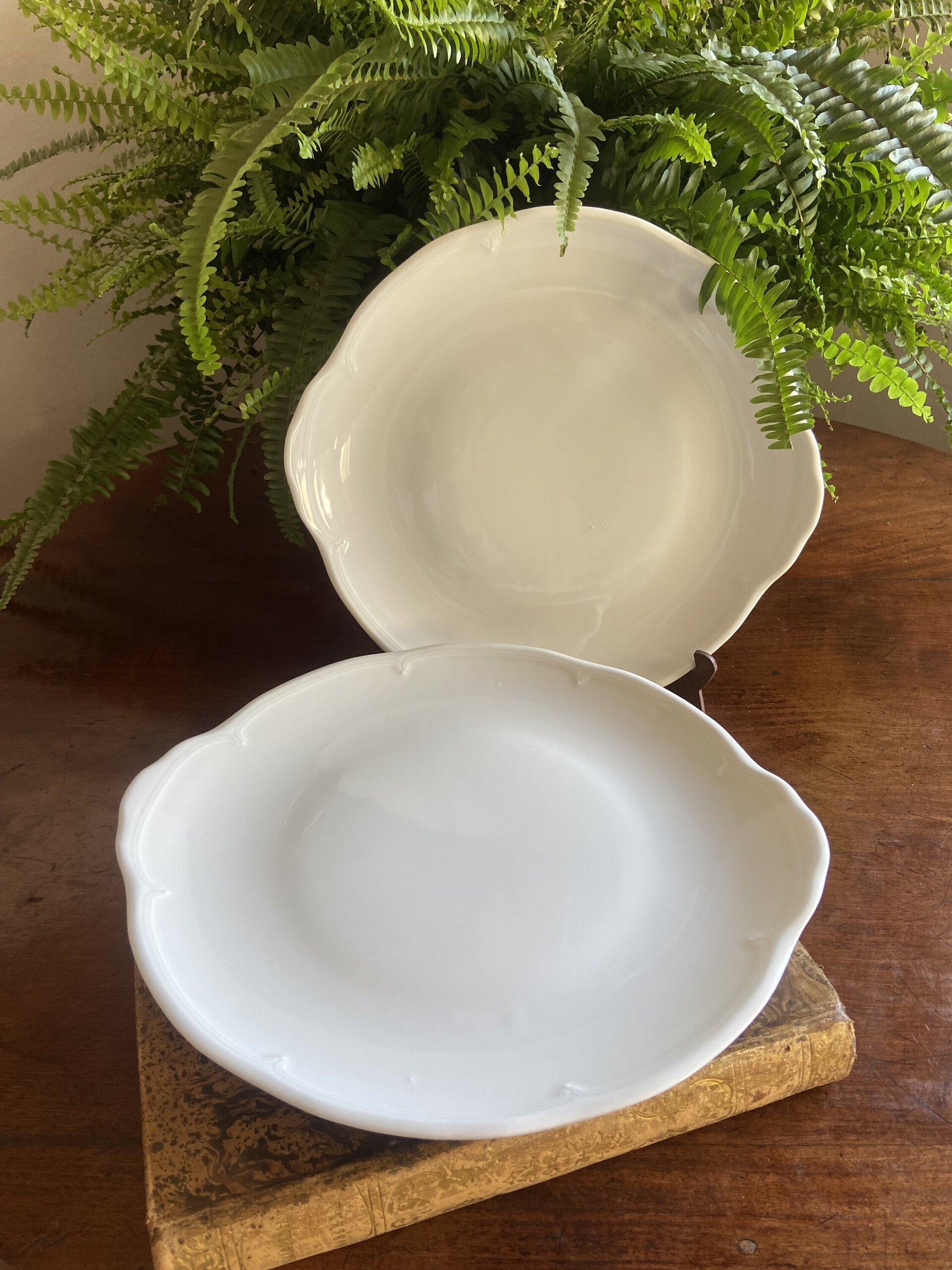 Pareja de fuentes redondas en porcelana "Bidasoa" - 4