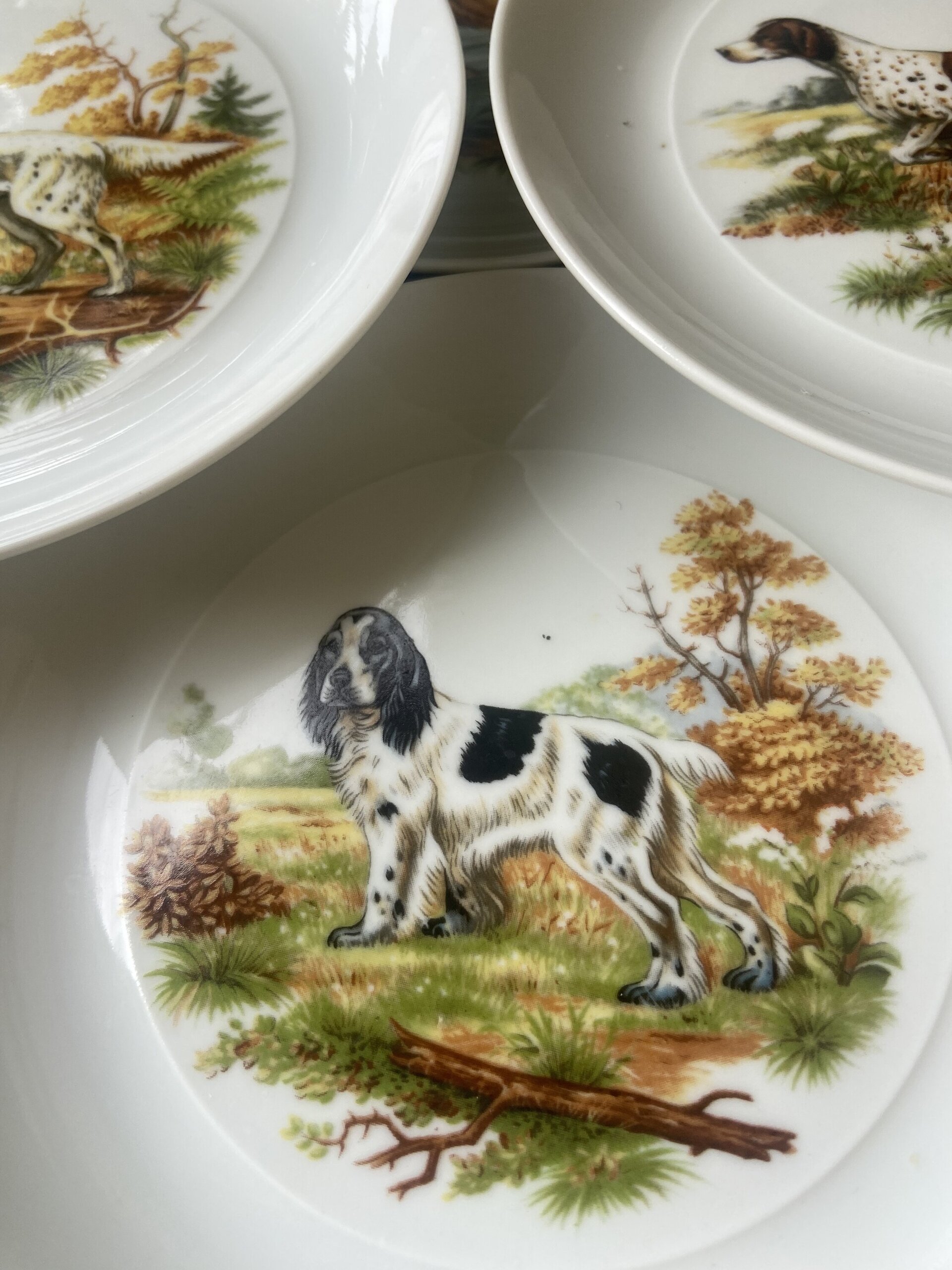 Fuente y 6 platos merienda en porcelana "Bidasoa". - 6