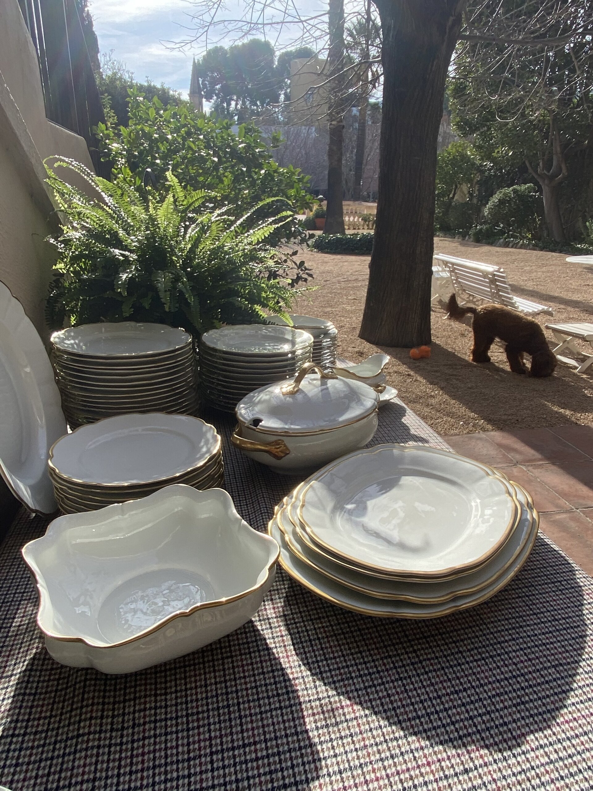 Vajilla en porcelana "Bidasoa" - 5