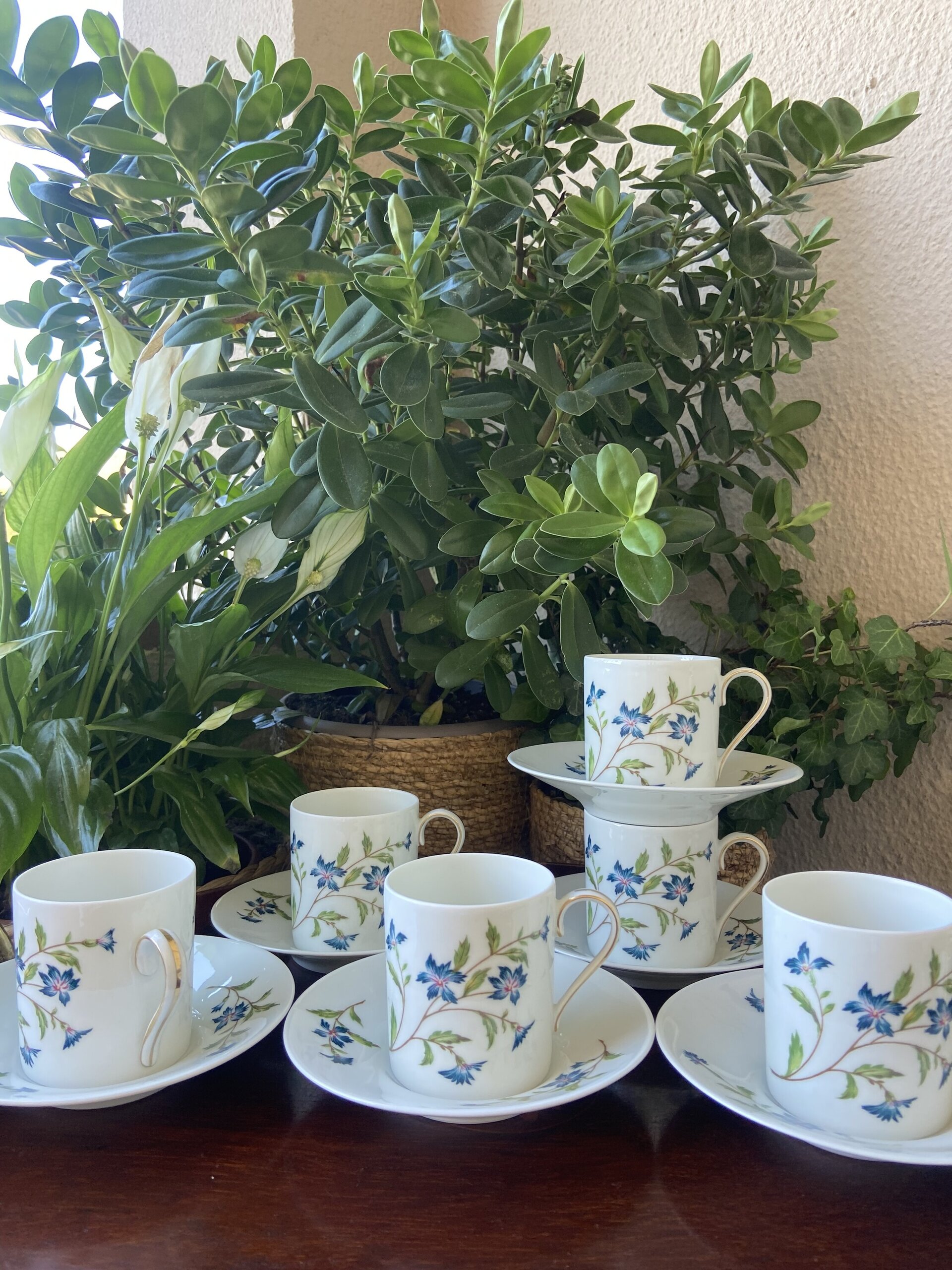 6 tazas de café en porcelana francesa de Limoges "Fabrique Royale" - 2