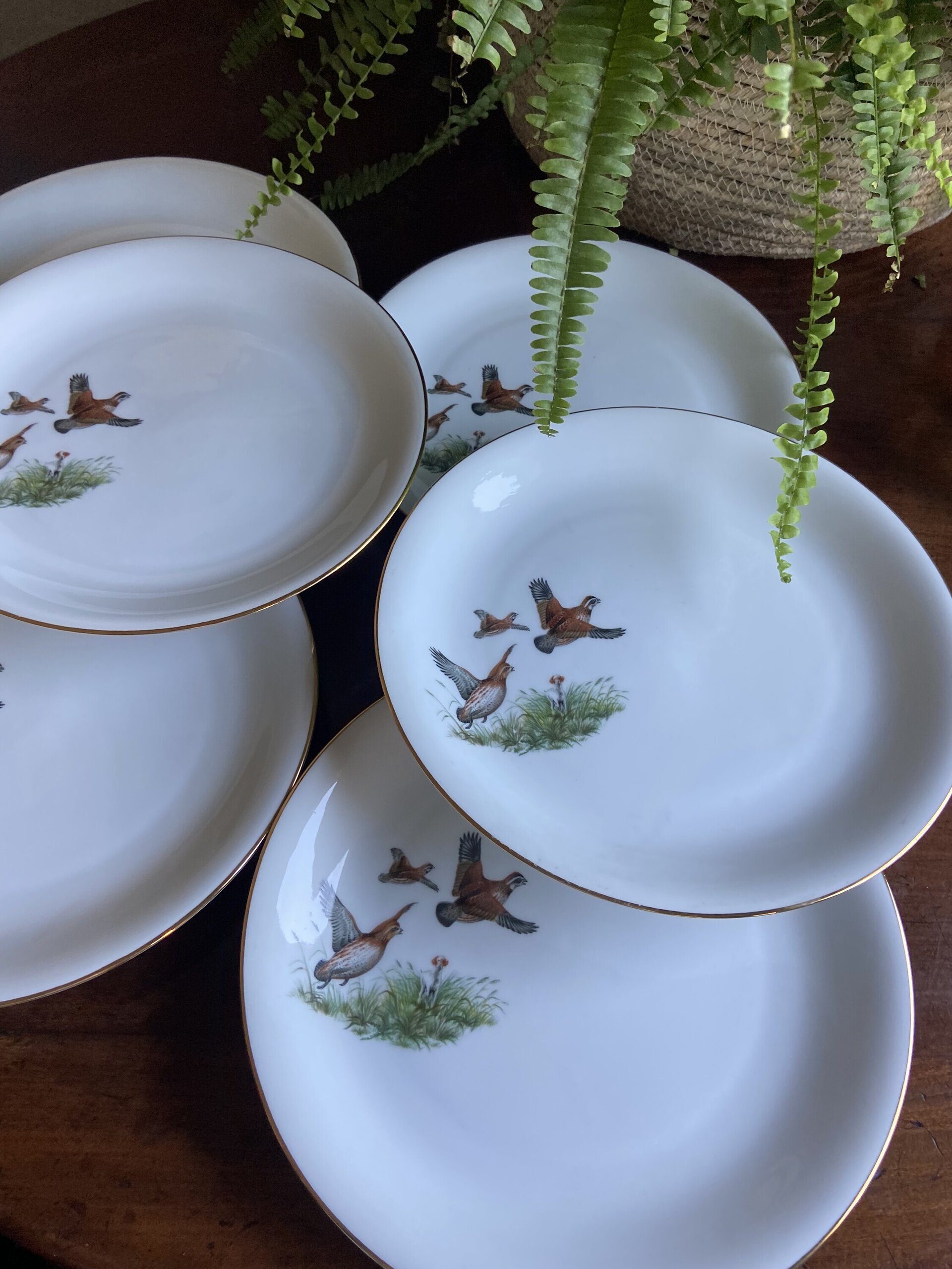 6 platos llanos en porcelana "Santa Clara". - 3